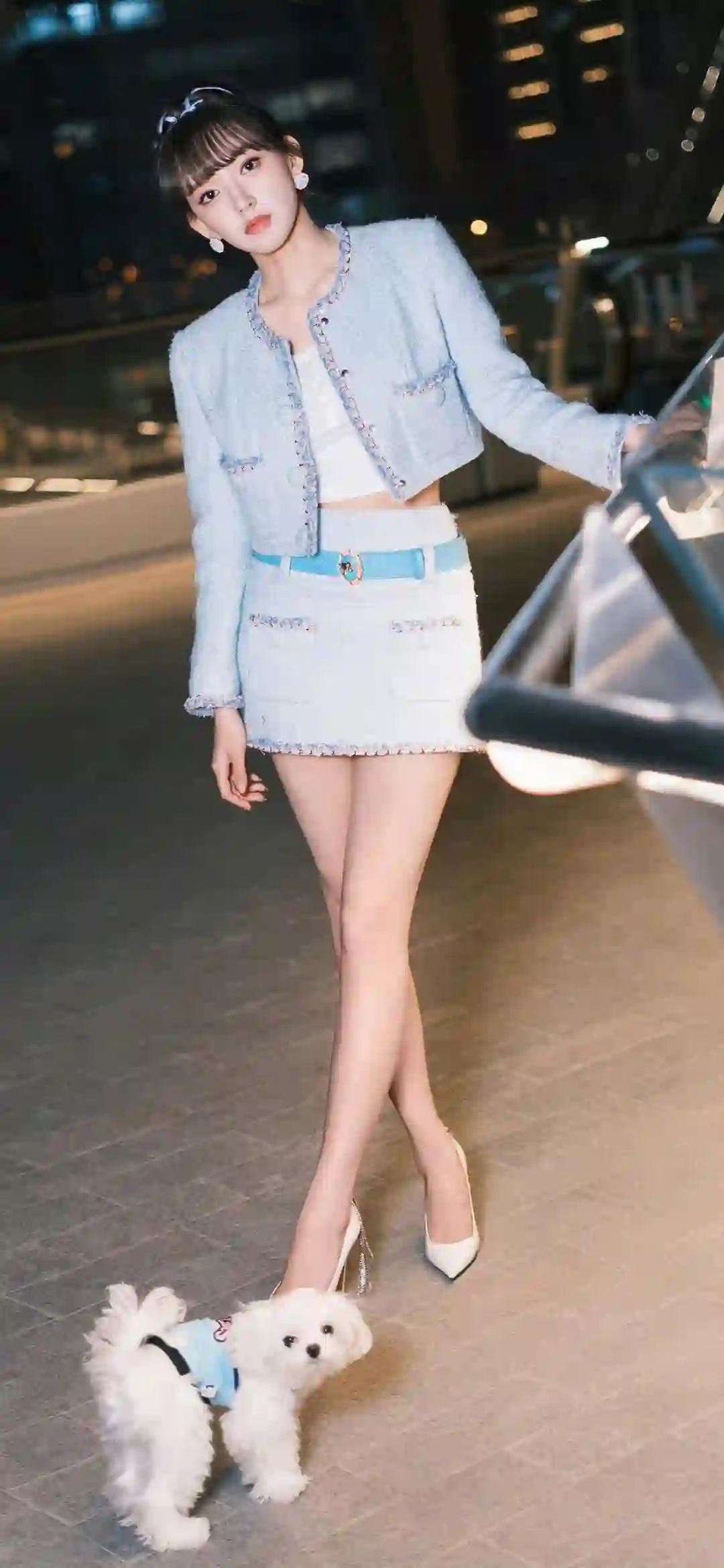 遛狗的美女 时尚美女 长腿美女 陈潇
