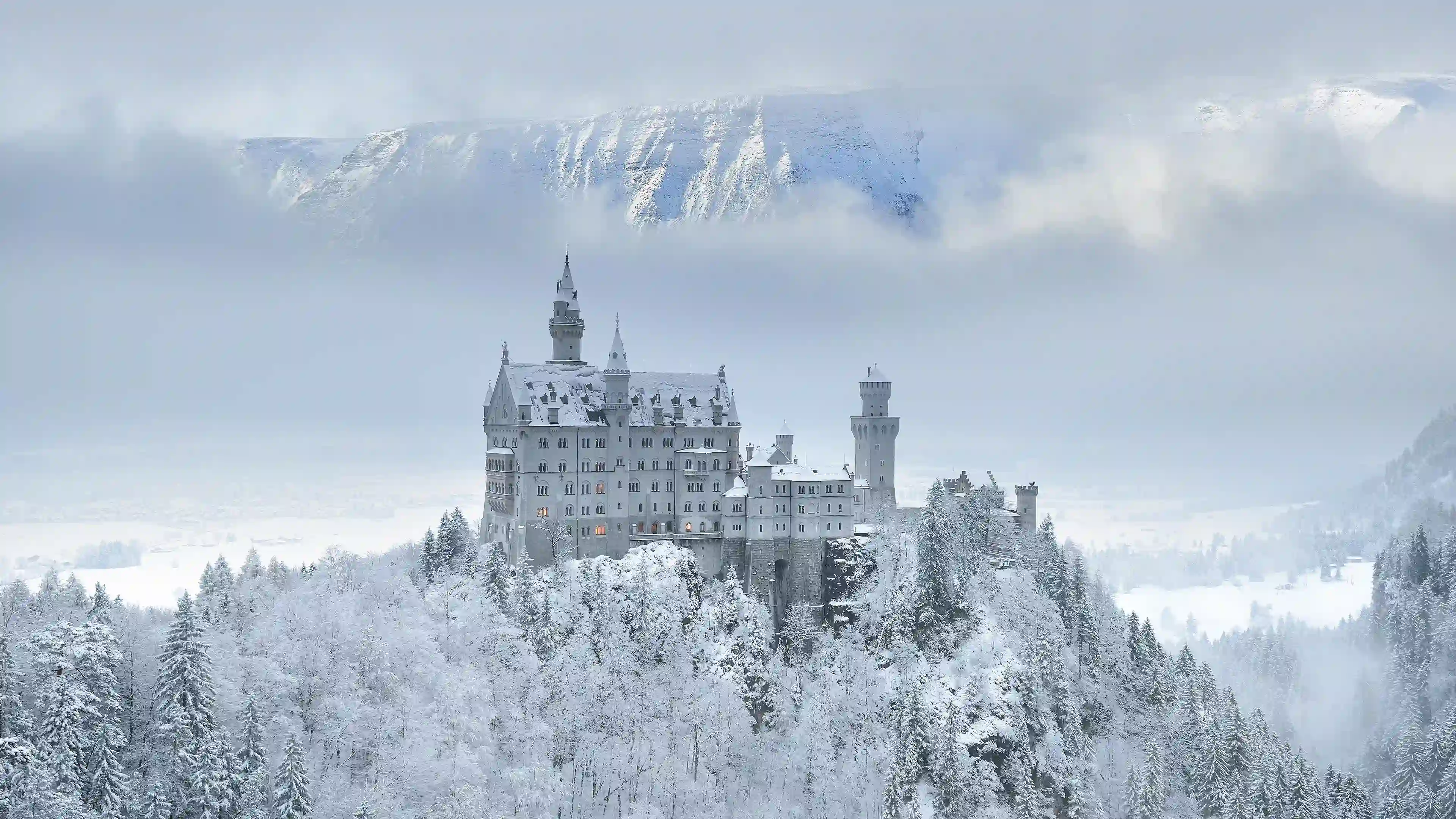 冬天雪景 新天鹅堡 雪松 城堡 