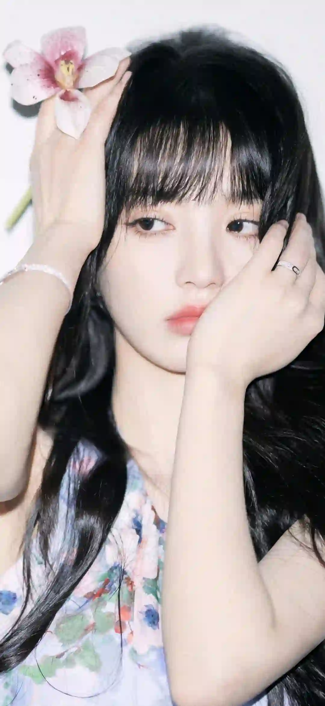 手里拿着花的可爱清纯美女 田曦薇 明星 