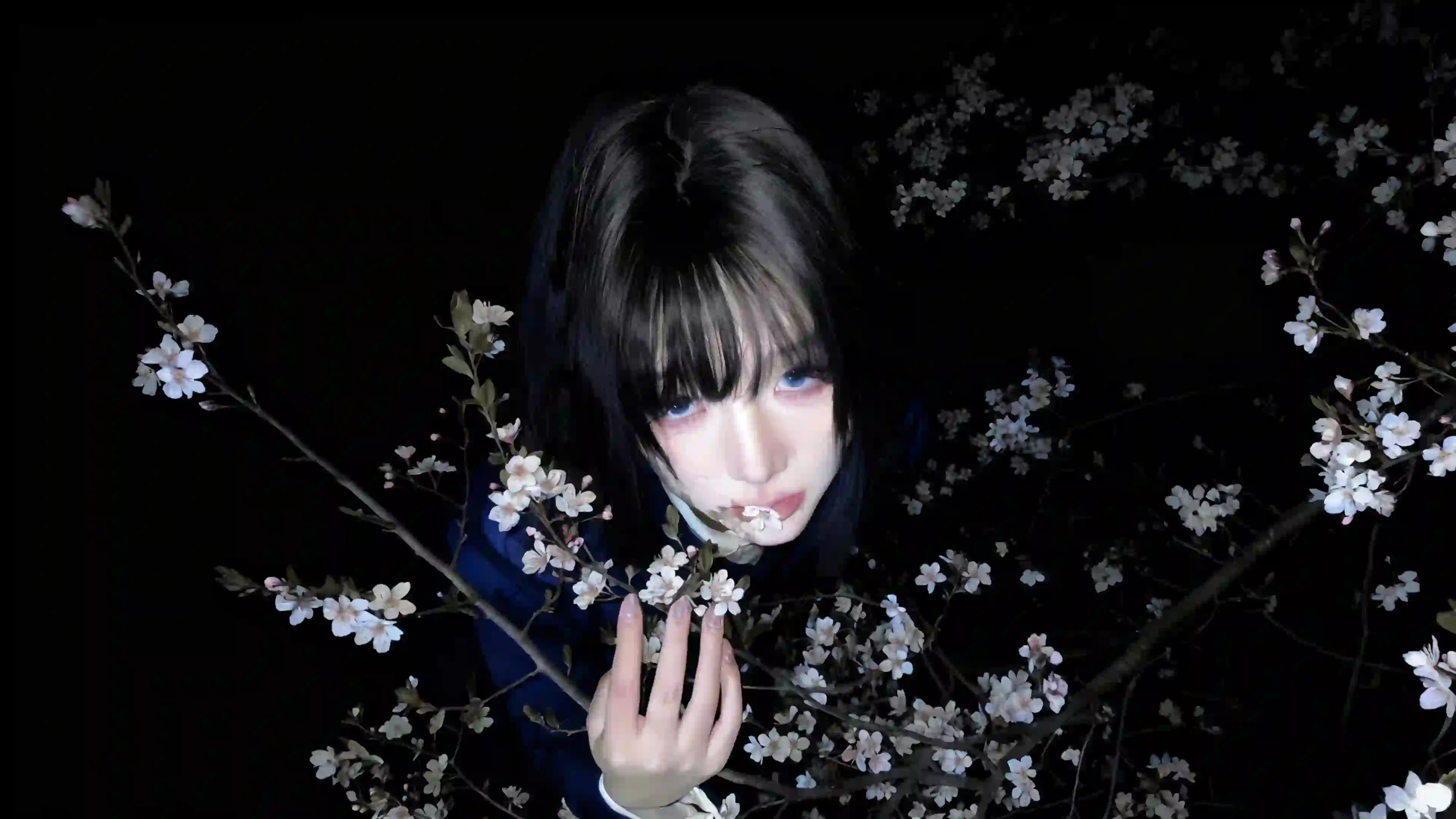 蓝色眼睛少女 夜晚花树 唯美 花