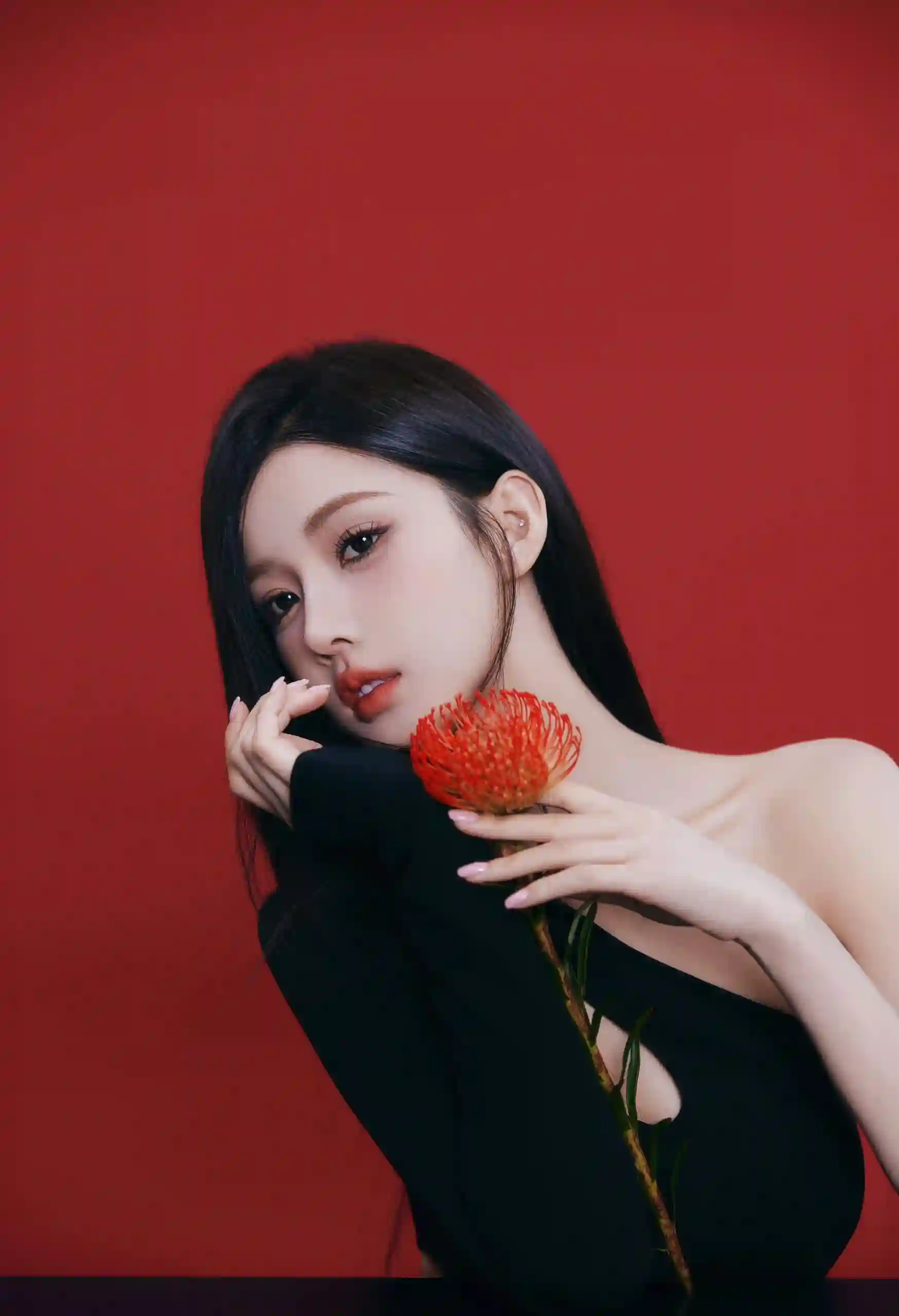 红色背景 长发美女 玫瑰女孩 黑裙美女 长腿美女