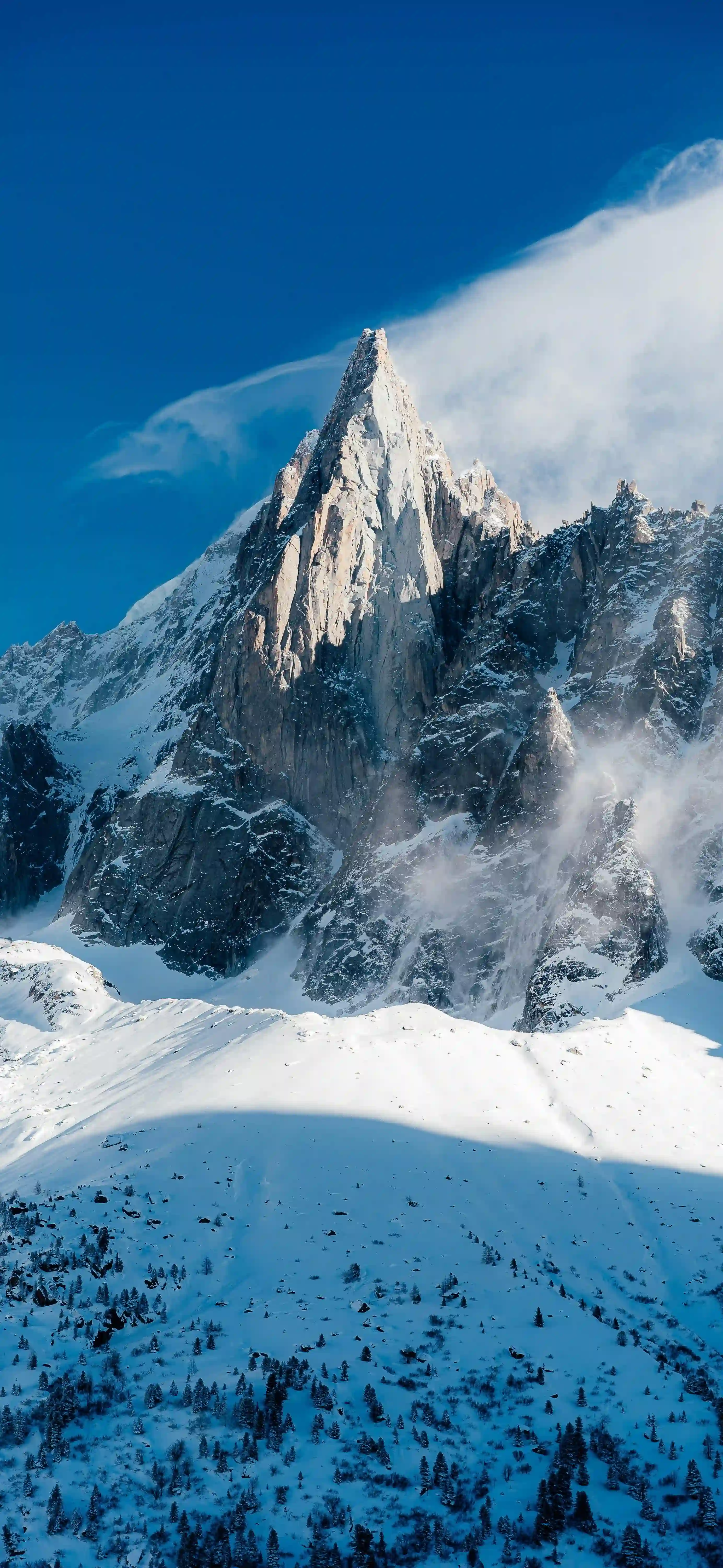 雪山 山峰 蓝天 云雾 针叶林 壮丽风景 冬季自然