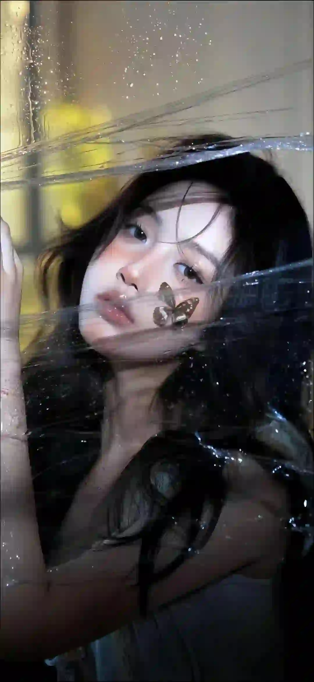 蝴蝶元素 薄膜 长发清纯美女 唯美