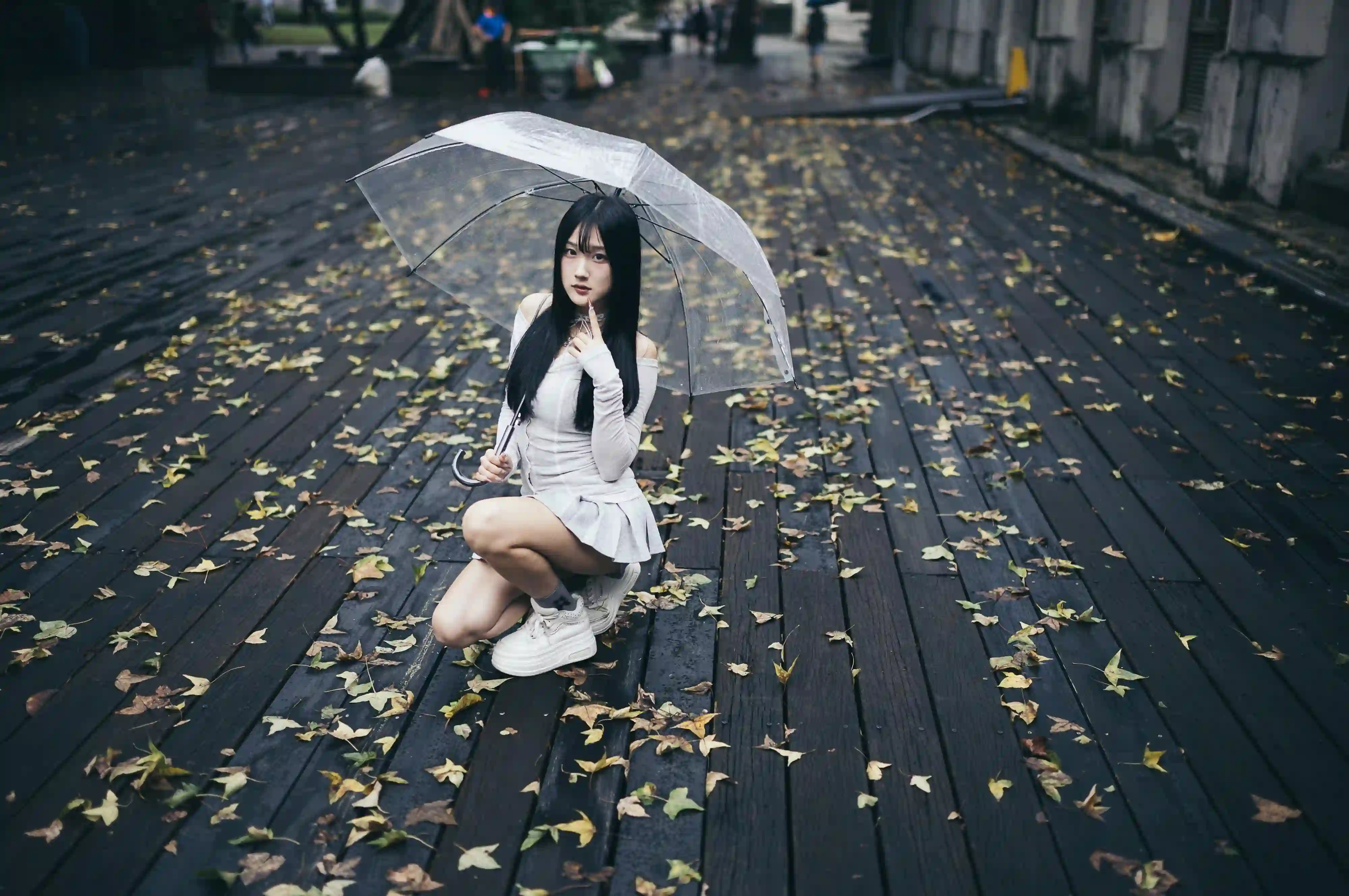 雨天 透明雨伞 落叶 木栈道 清纯少女 黑发 唯美 秋天