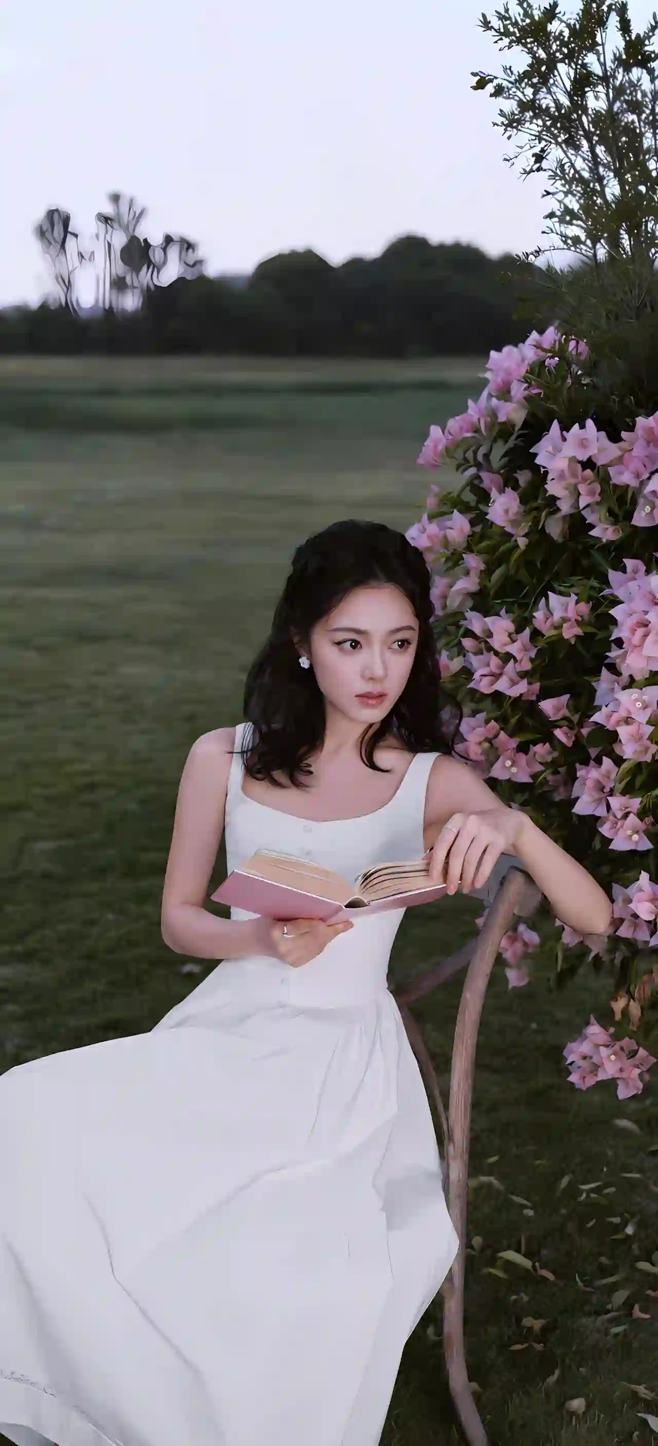 白色连衣裙 少女 读书 花丛 草地 唯美 人像 赵今麦