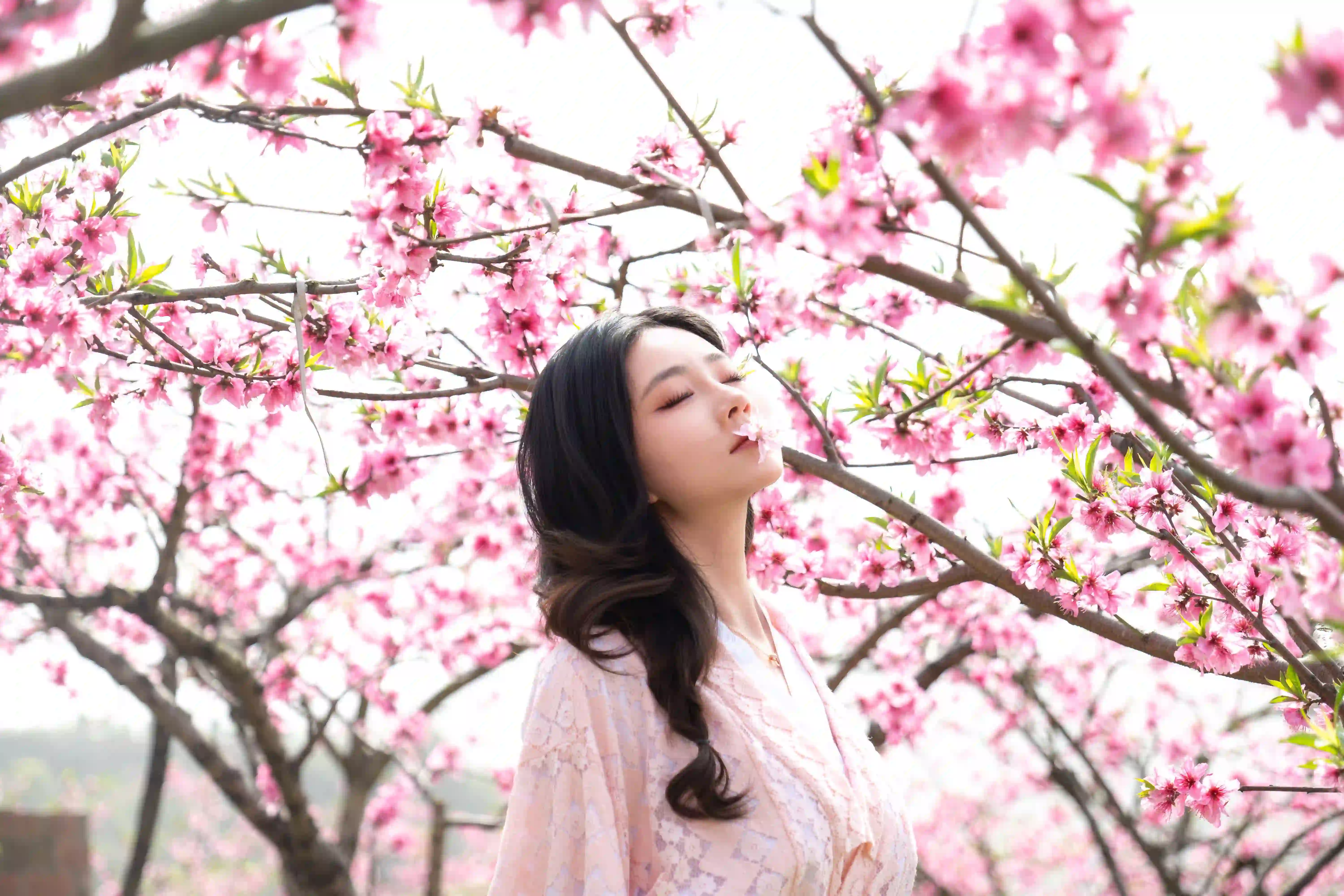 长发性感美女 粉红色和服美女 桃花 闭眼