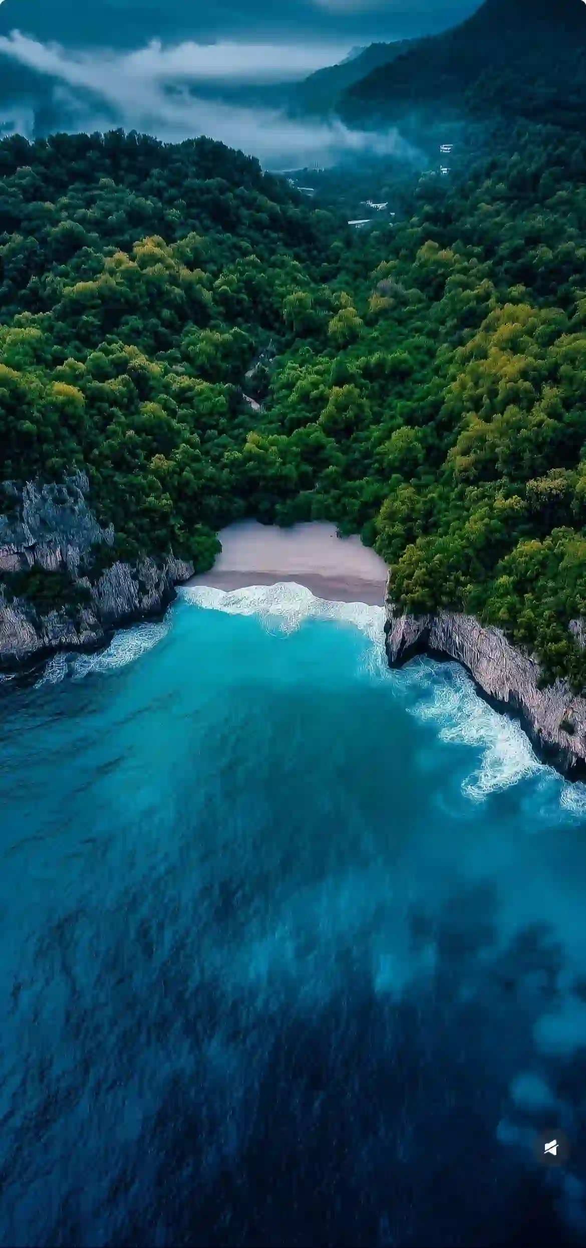 绿水 森林 树木