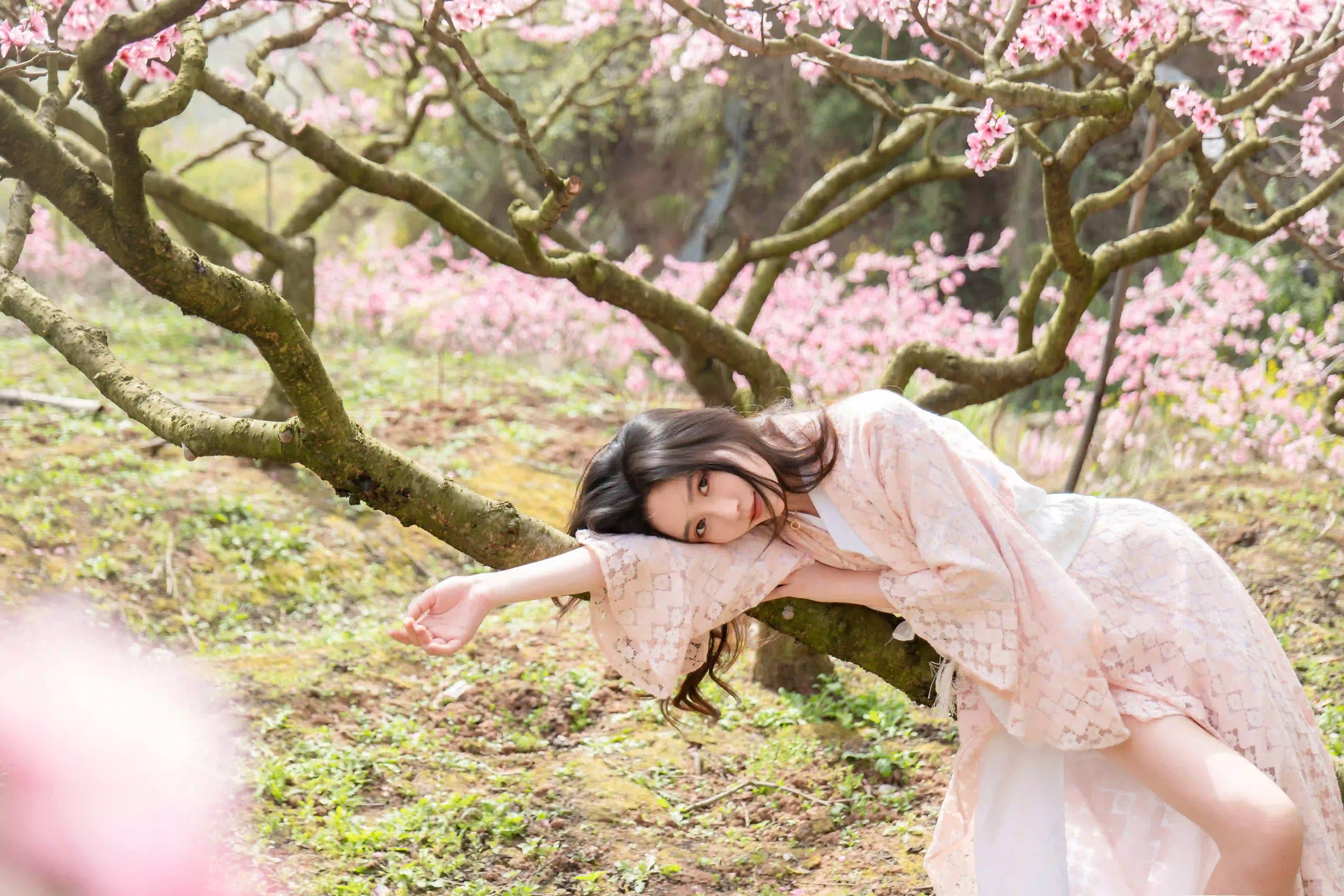 长发性感美女 粉红色和服美女 桃花 性感姿势