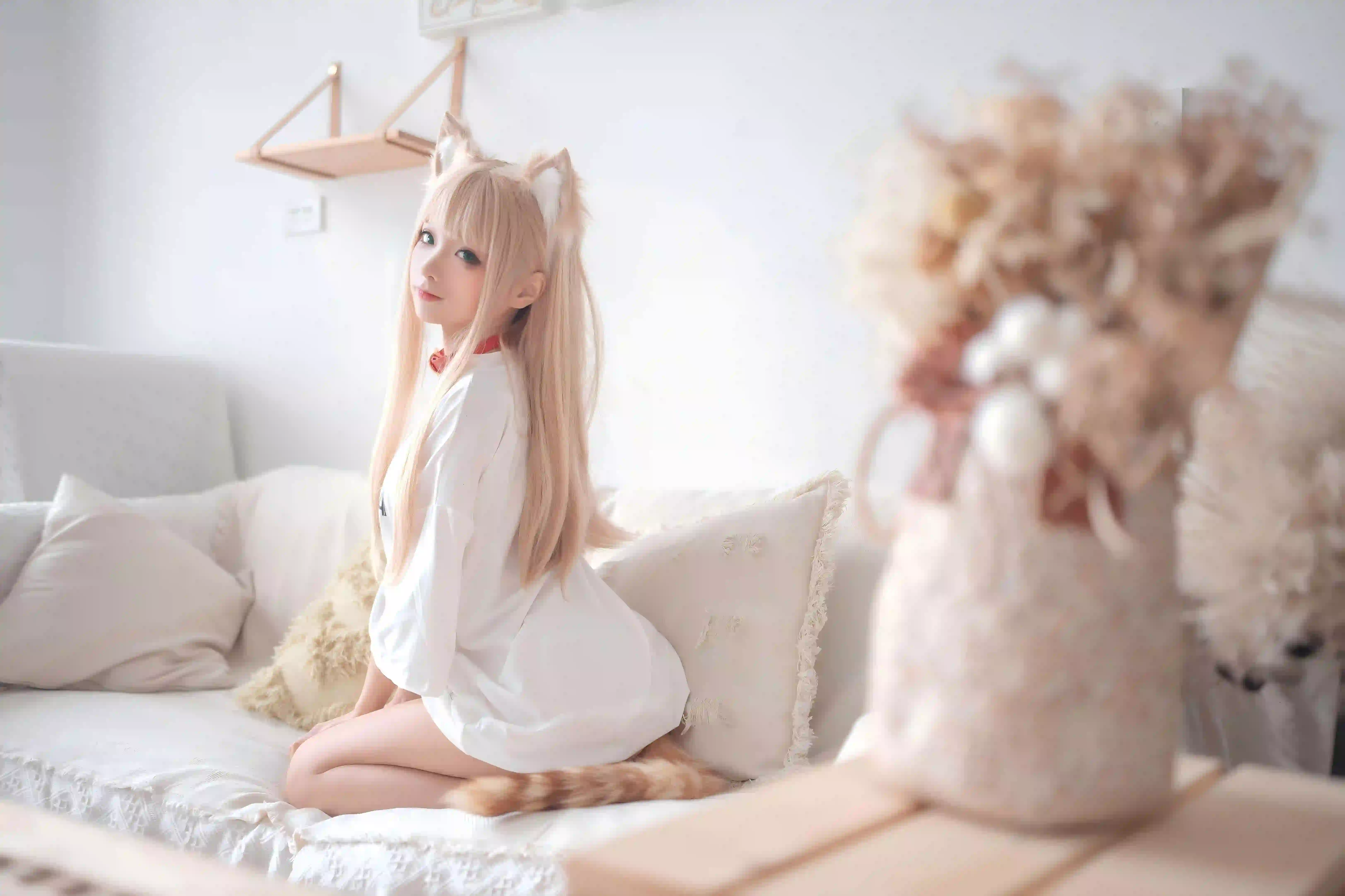 猫耳女孩 居家写真 可爱 coser