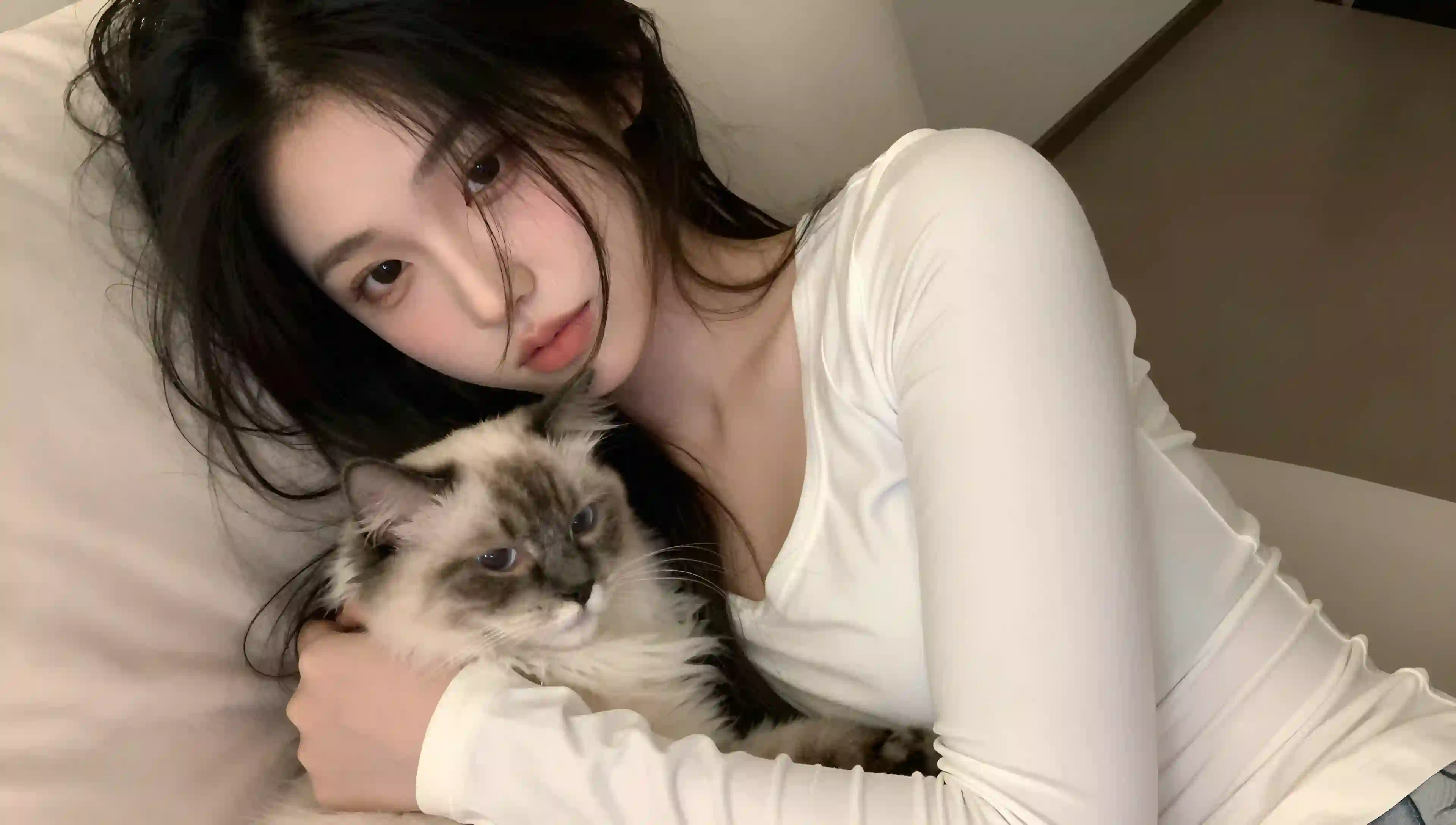 女孩 布偶猫 温馨 床上 室内 壁纸