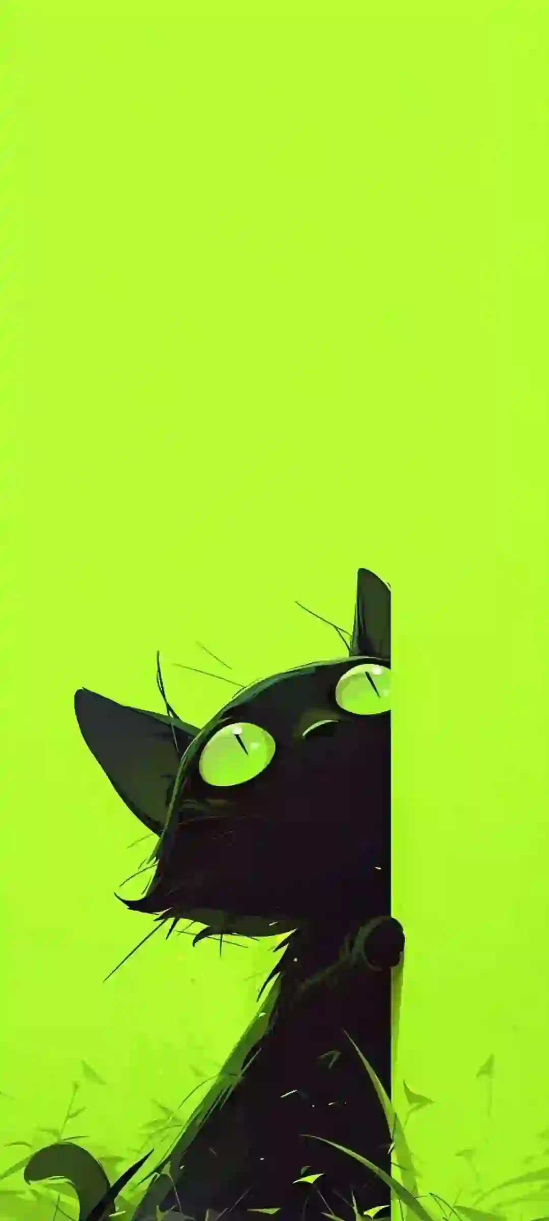 可爱小黑猫 动漫壁纸 纯色背景 猫咪 2