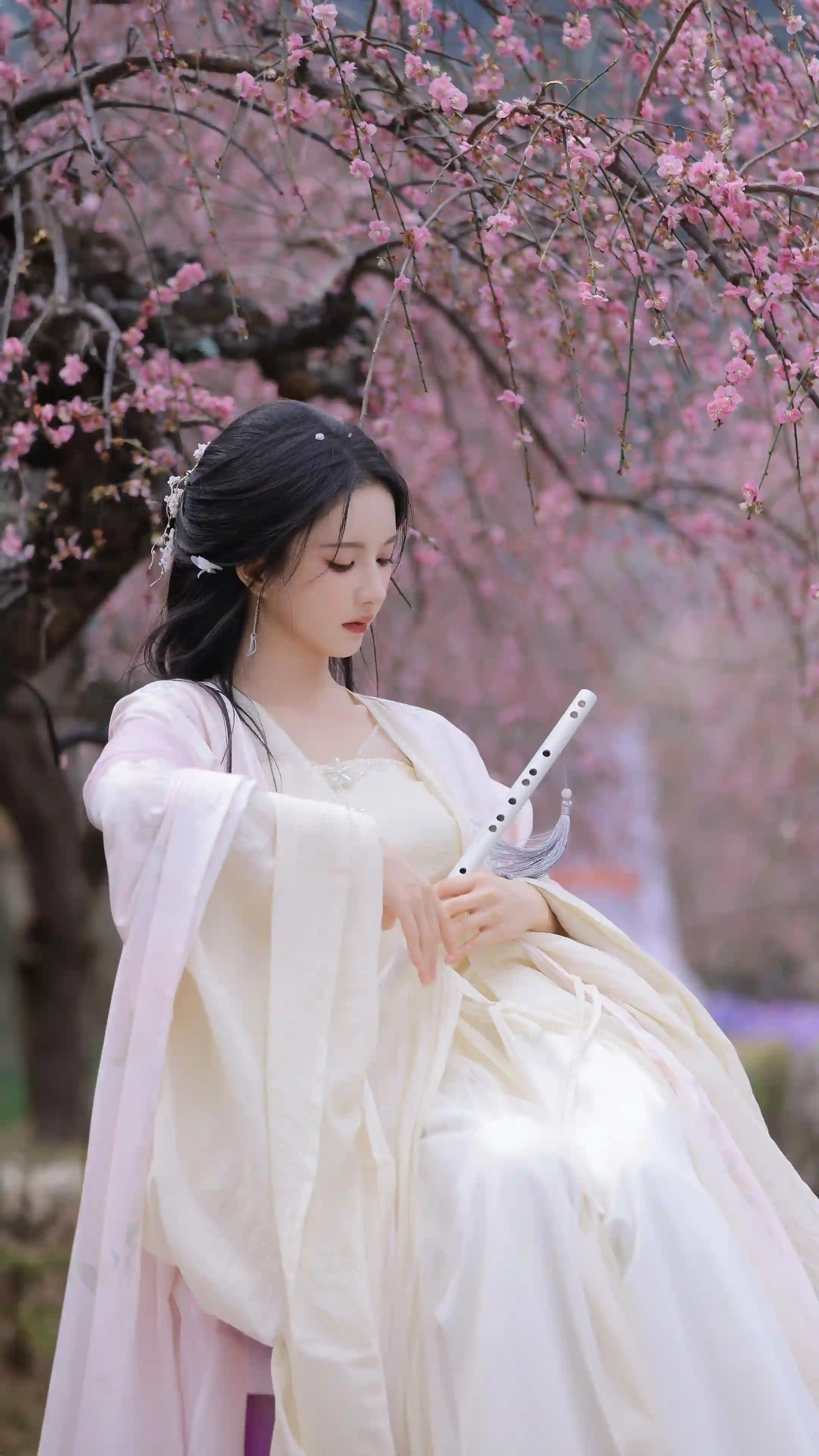古风美女 樱花 刘些宁 古风 汉服 白裙 美女