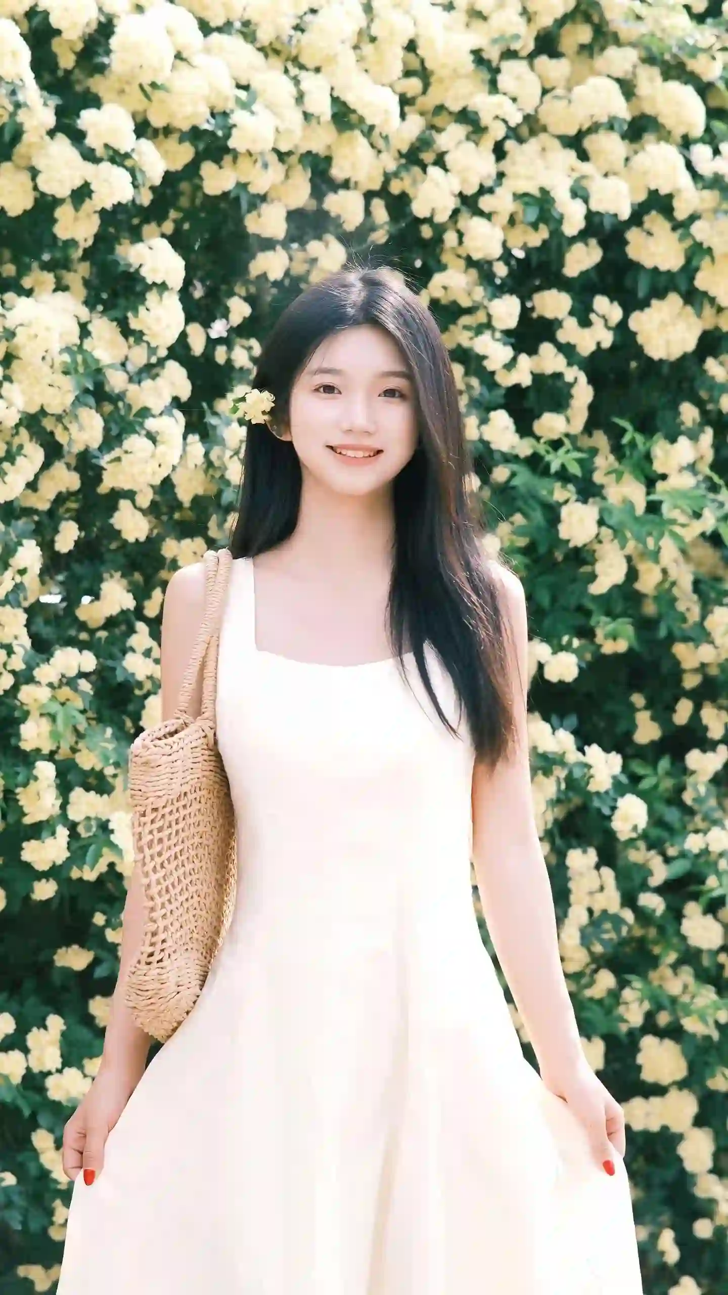 白裙少女 花墙 唯美人像 清新 写真