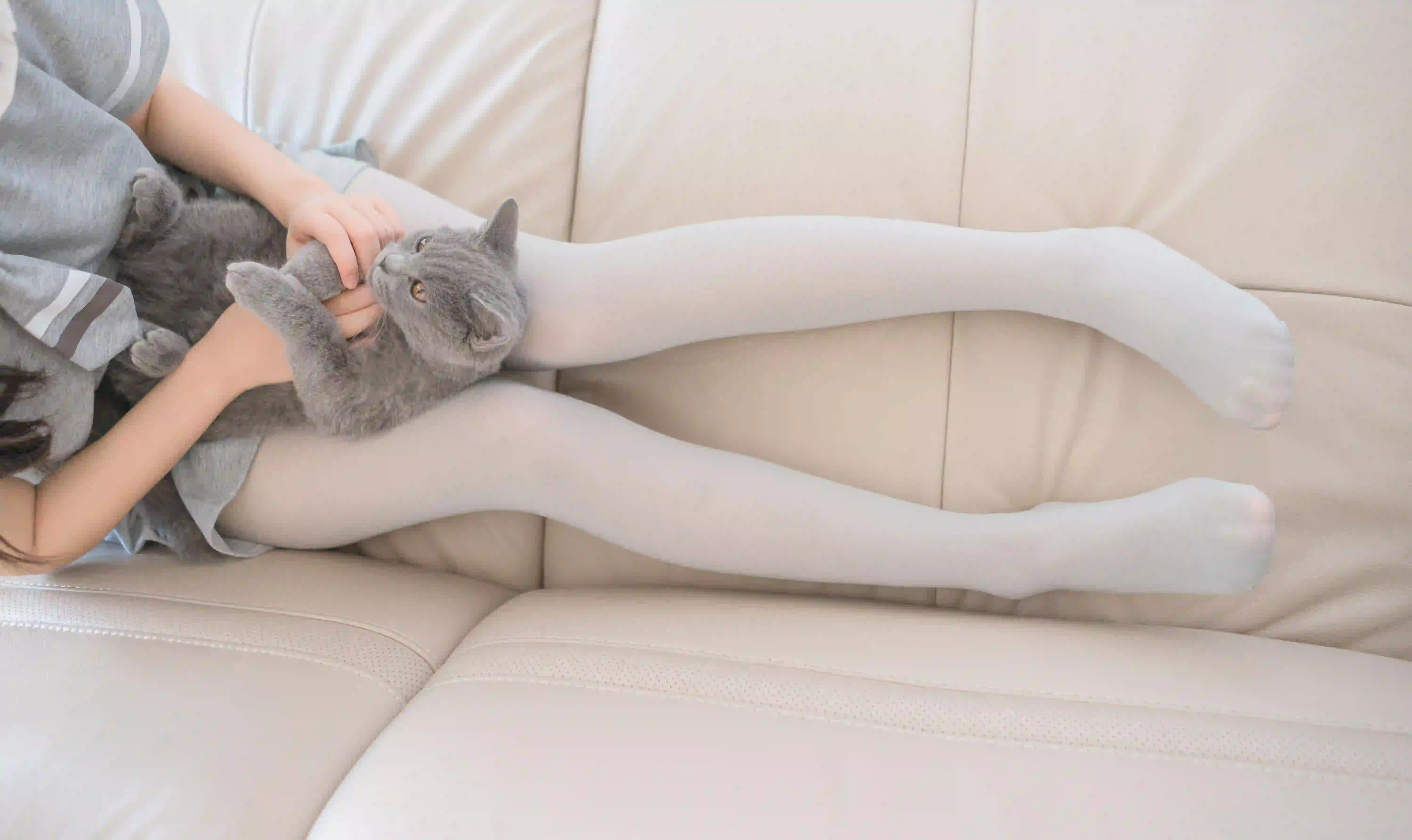 白色丝袜 性感美腿 猫咪 长腿丝袜