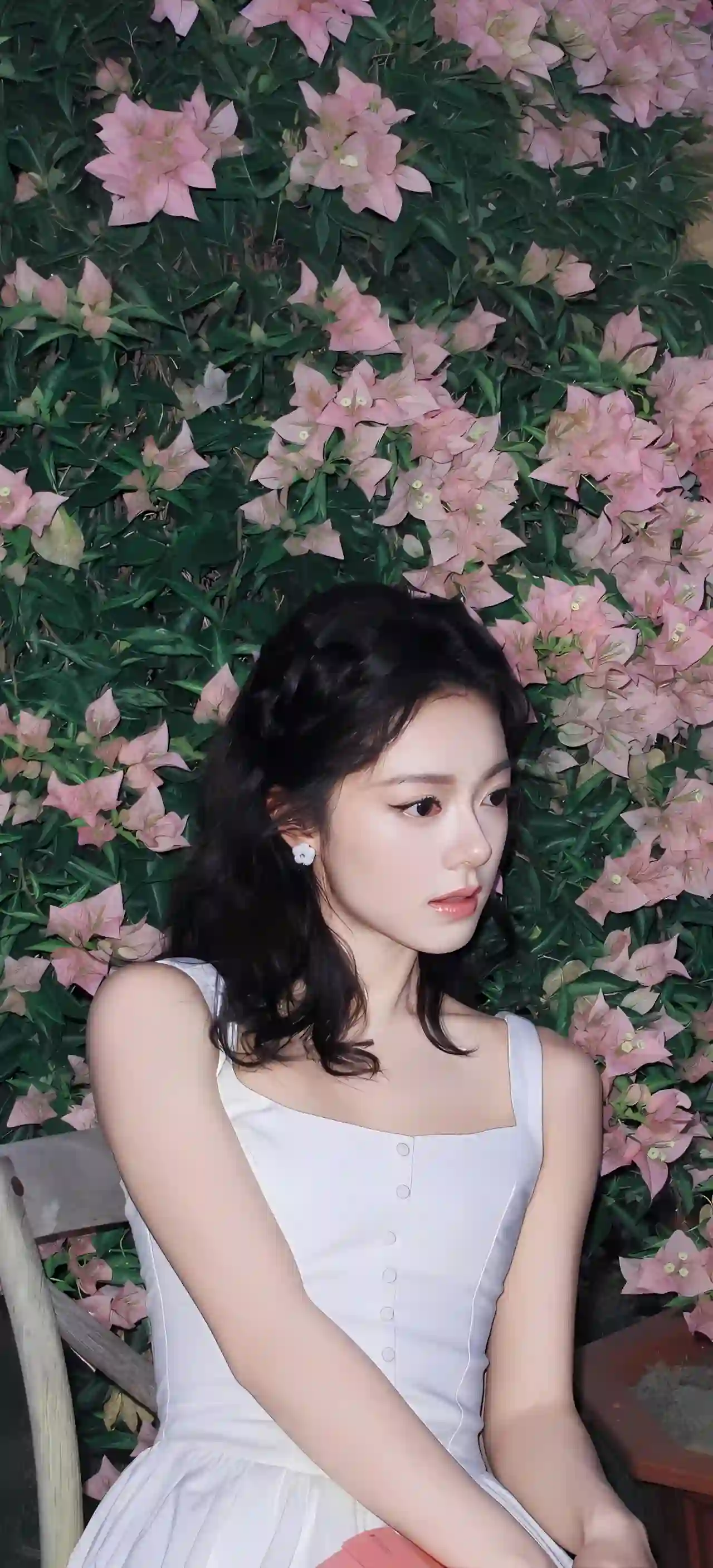 白色连衣裙 粉色花墙 少女写真 花卉背景 人像摄影 清新唯美 赵今麦