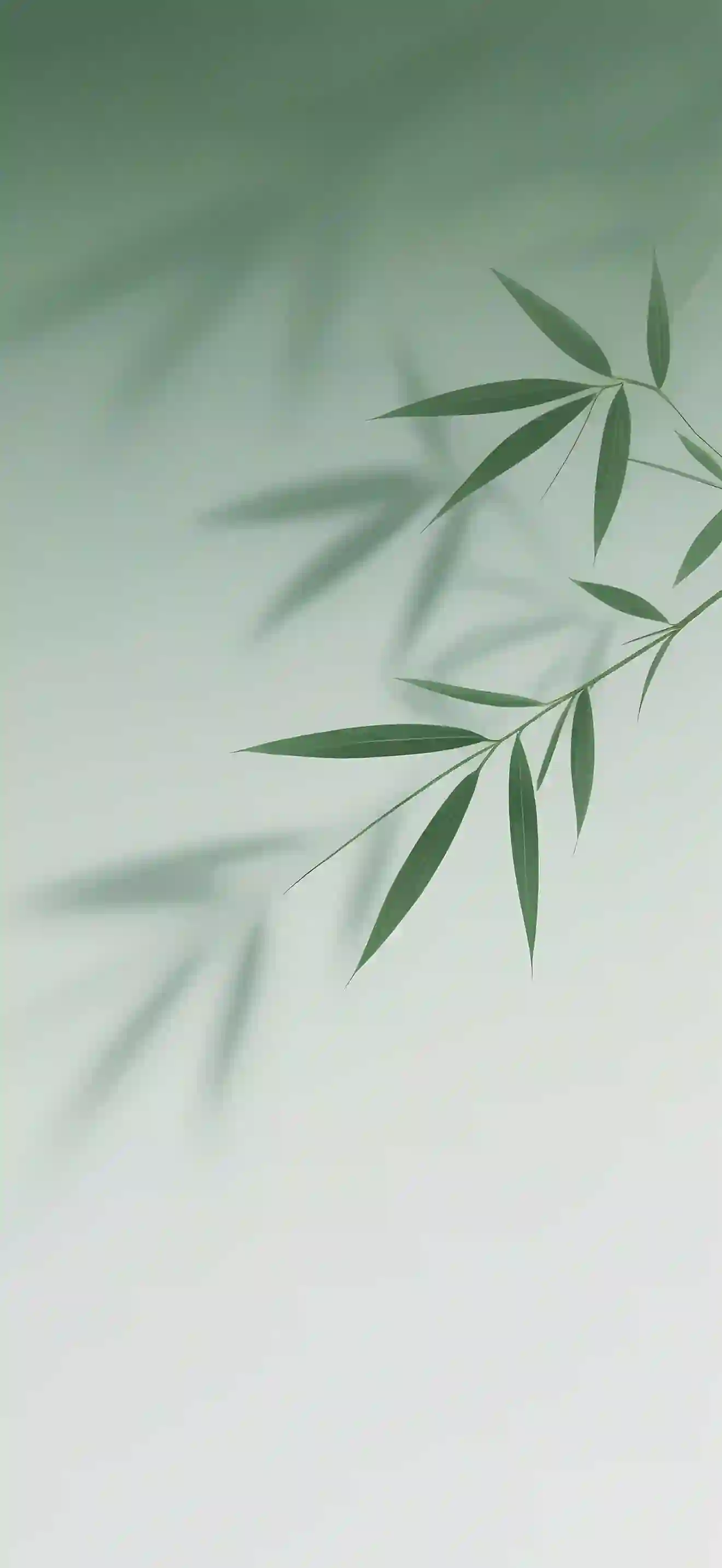 竹叶 极简风格 绿色渐变 简约壁纸 清新植物