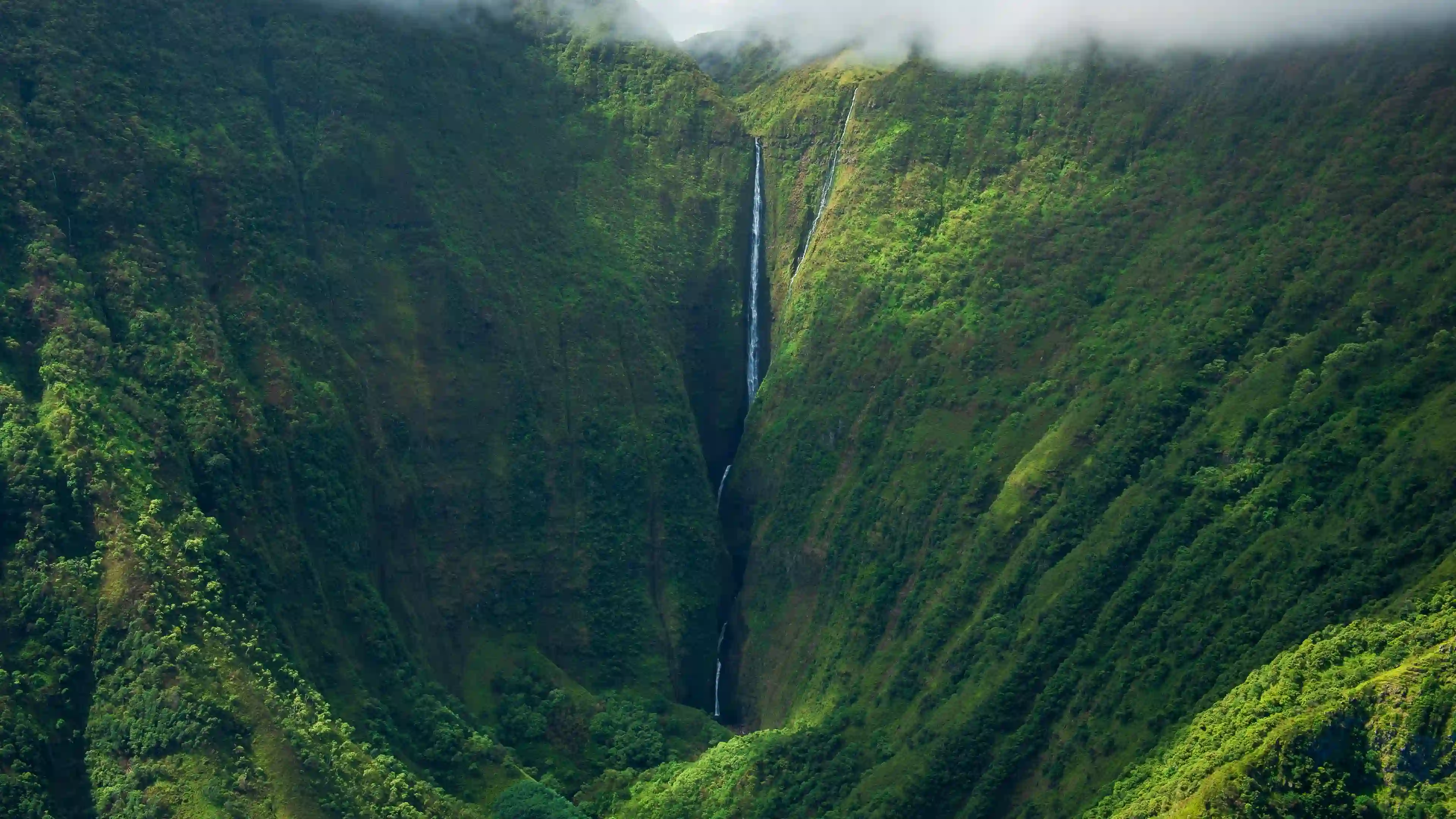 绿色山谷 瀑布 云雾 山峦 自然风光 航拍