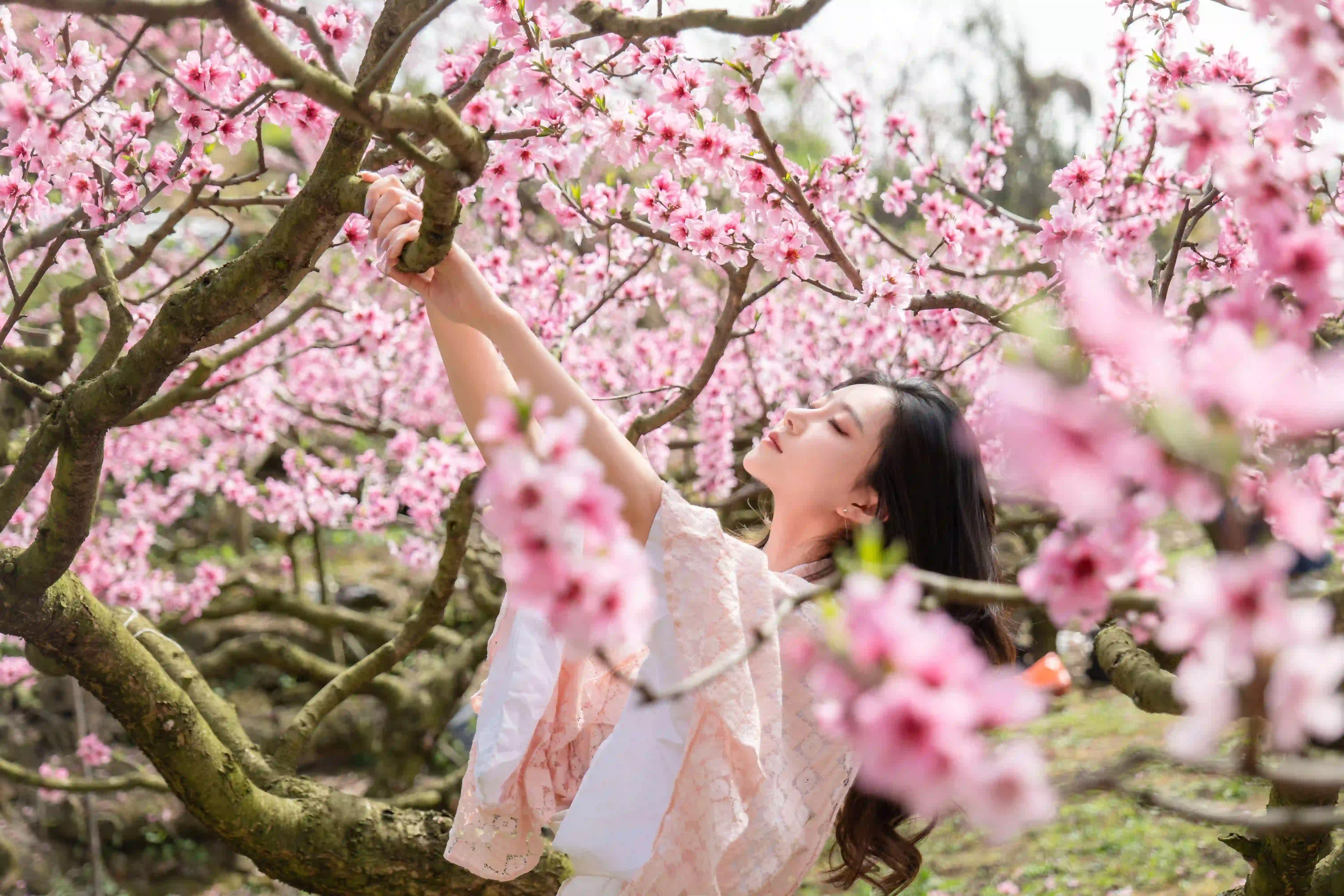 长发性感美女 粉红色和服美女 桃花 和服穿搭
