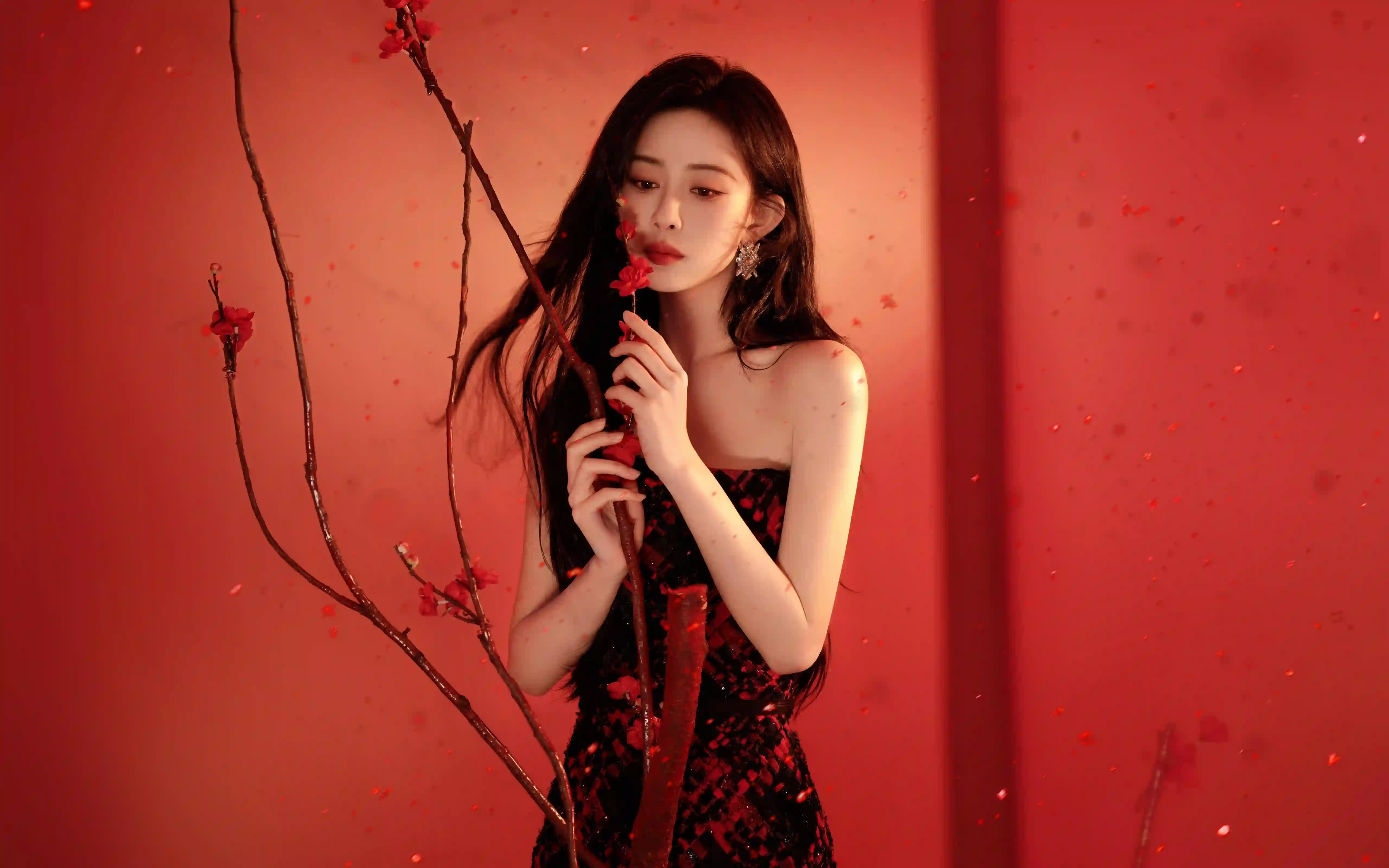 孟子义 长发美女 红色花朵 红色背景