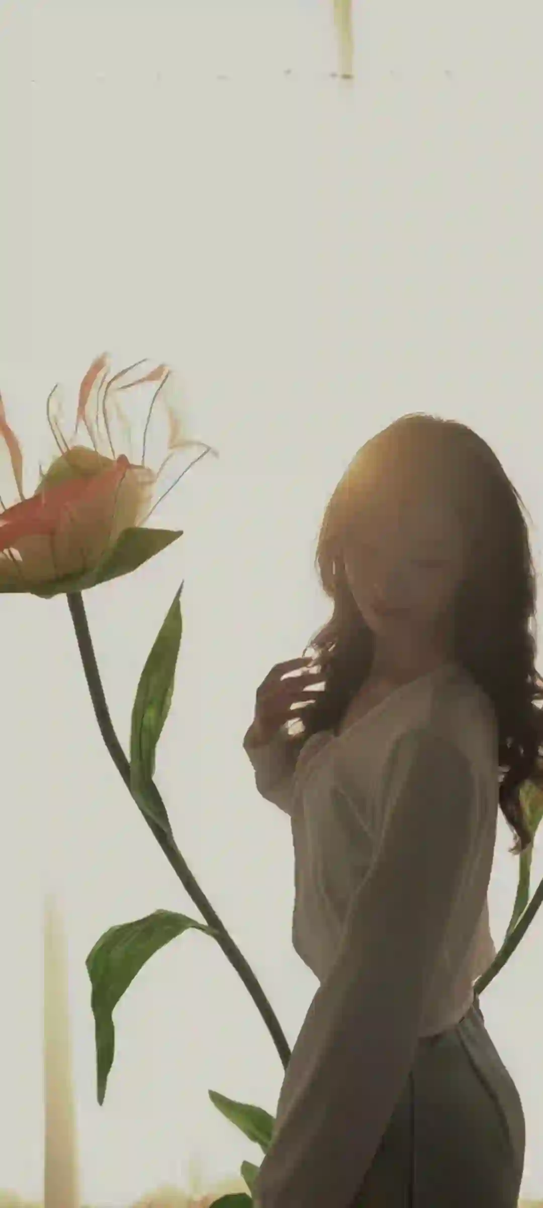 女孩 花朵 逆光 唯美 柔和 艺术