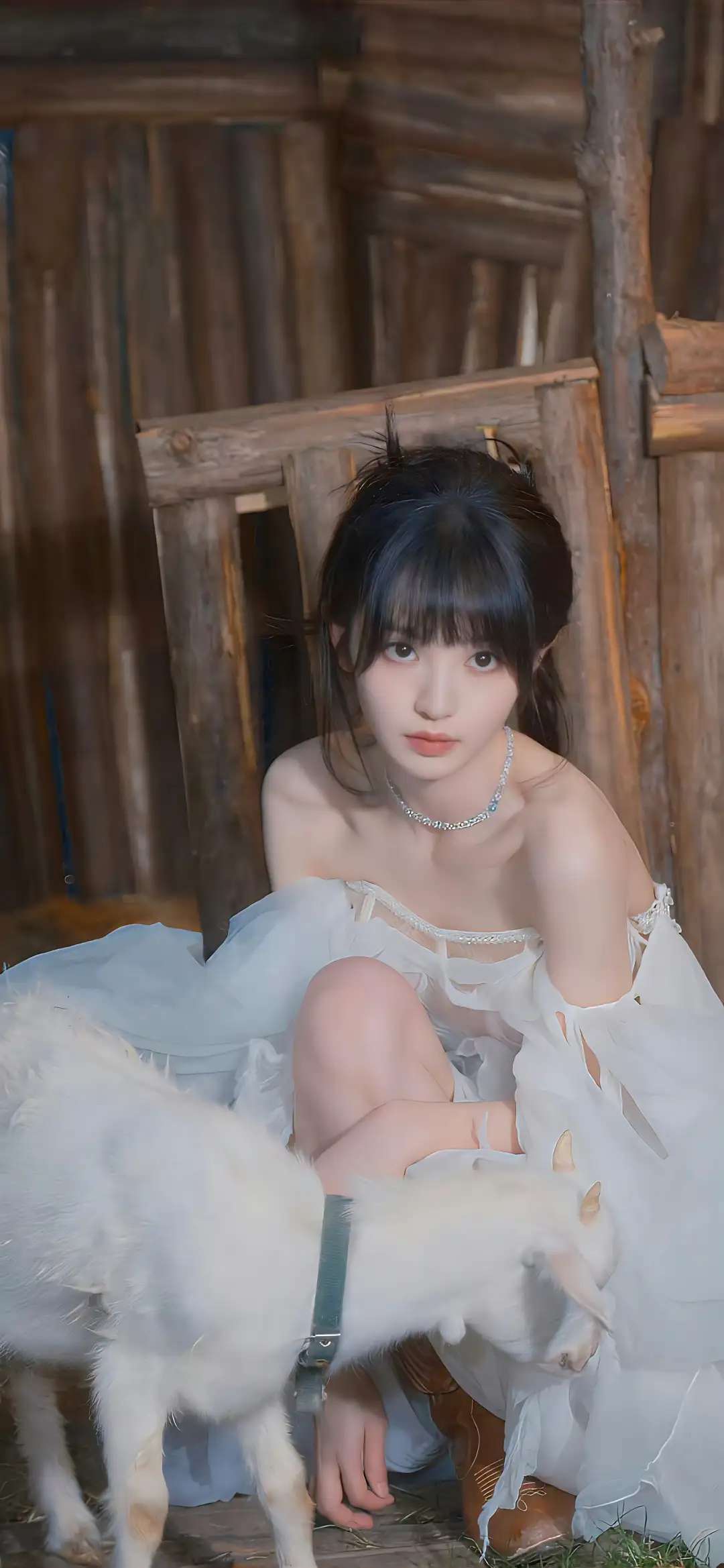 可爱女孩 白色裙子 小羊 明星 田曦薇