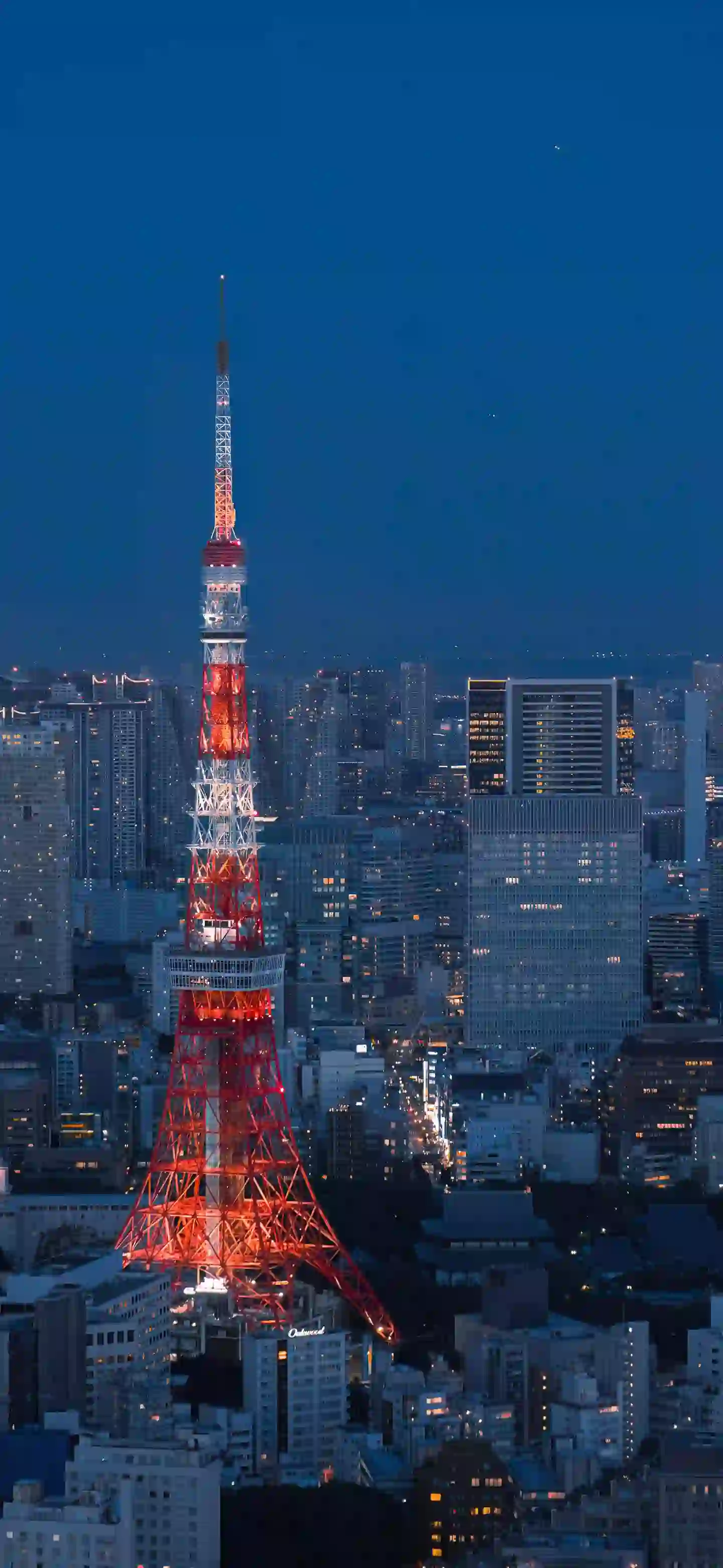 铁塔 城市夜景 灯光
