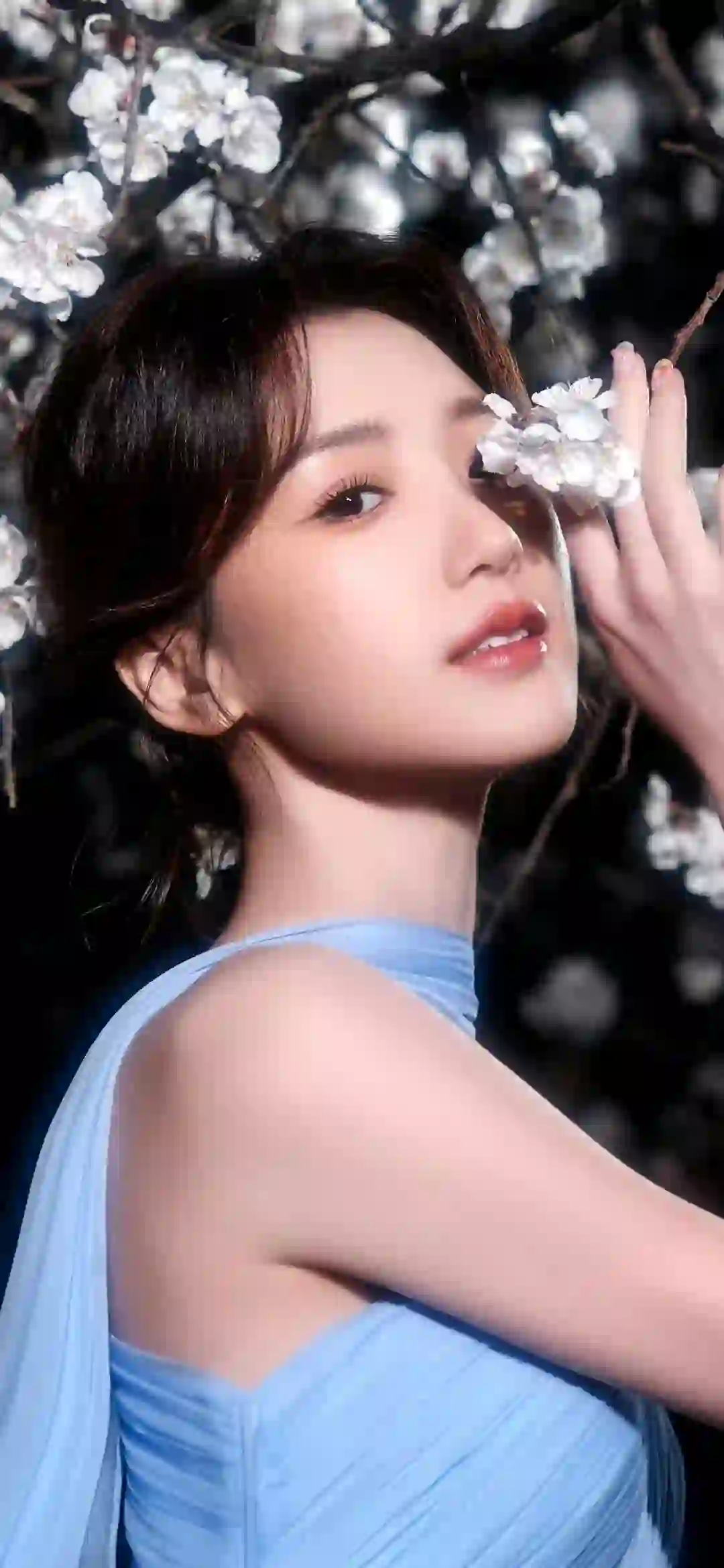 花 毛晓彤 美女 蓝色长裙美女 明星
