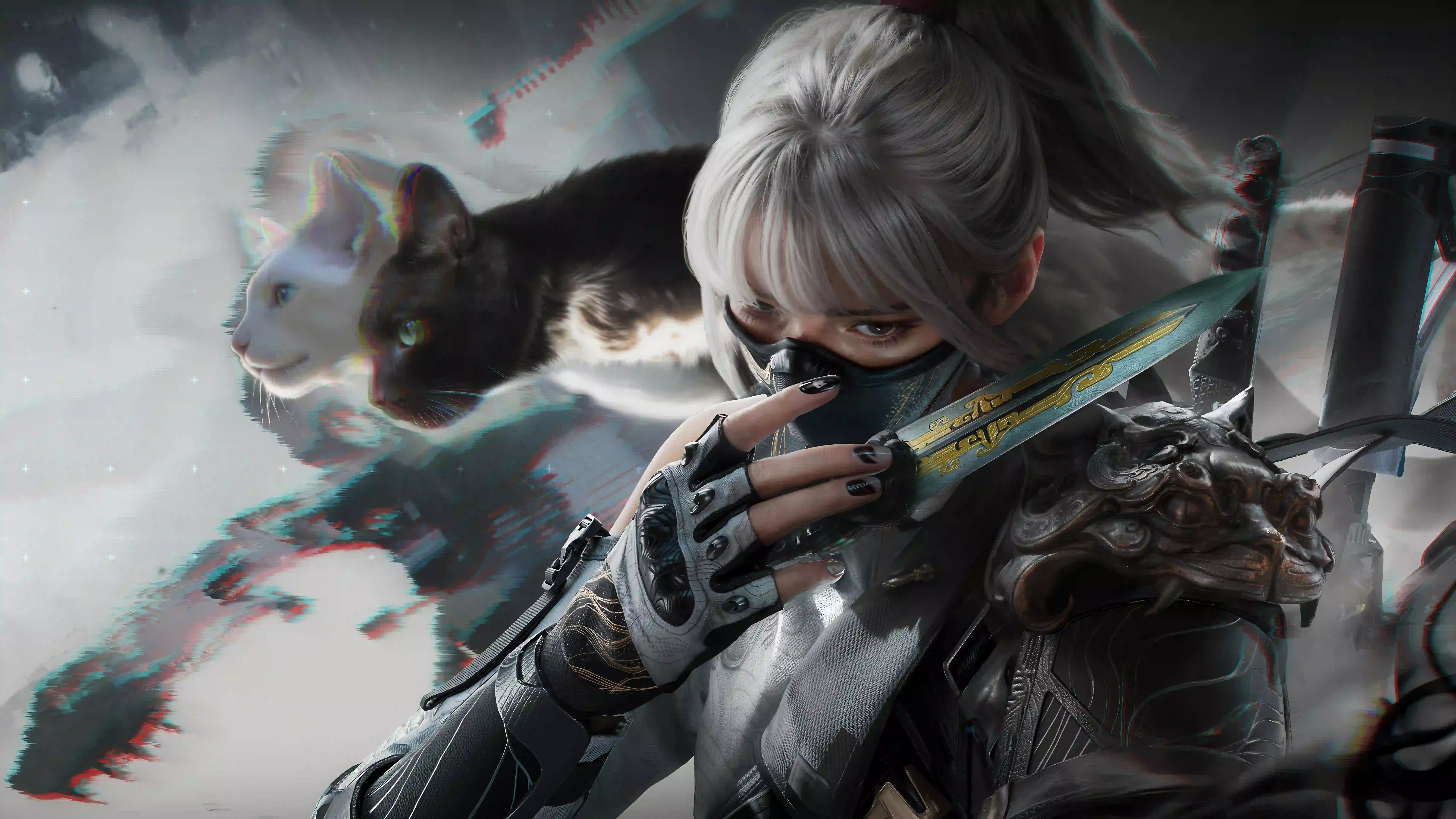 动漫女孩 二次元 刺客 三角洲行动 黑猫 白猫