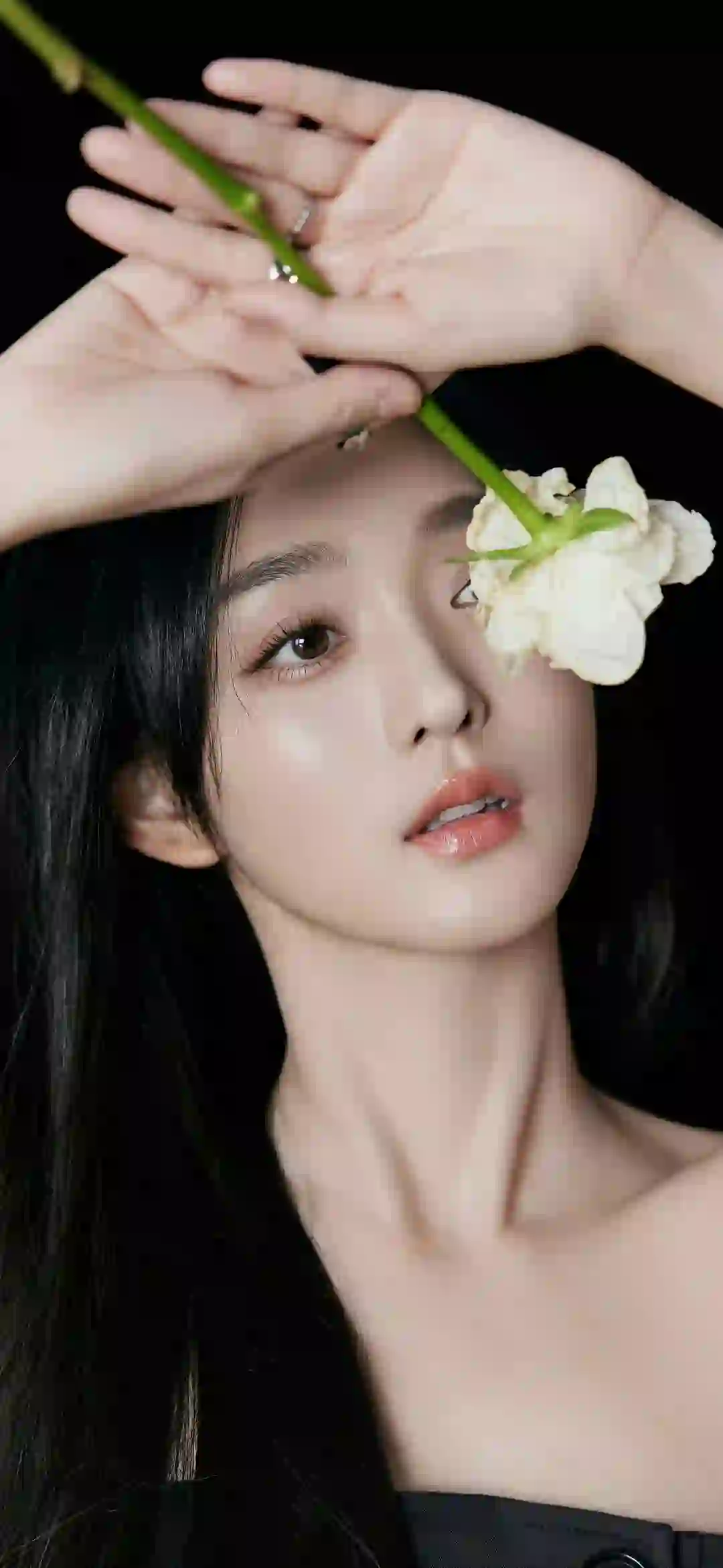 美女明星 何泓姗  白色花朵
