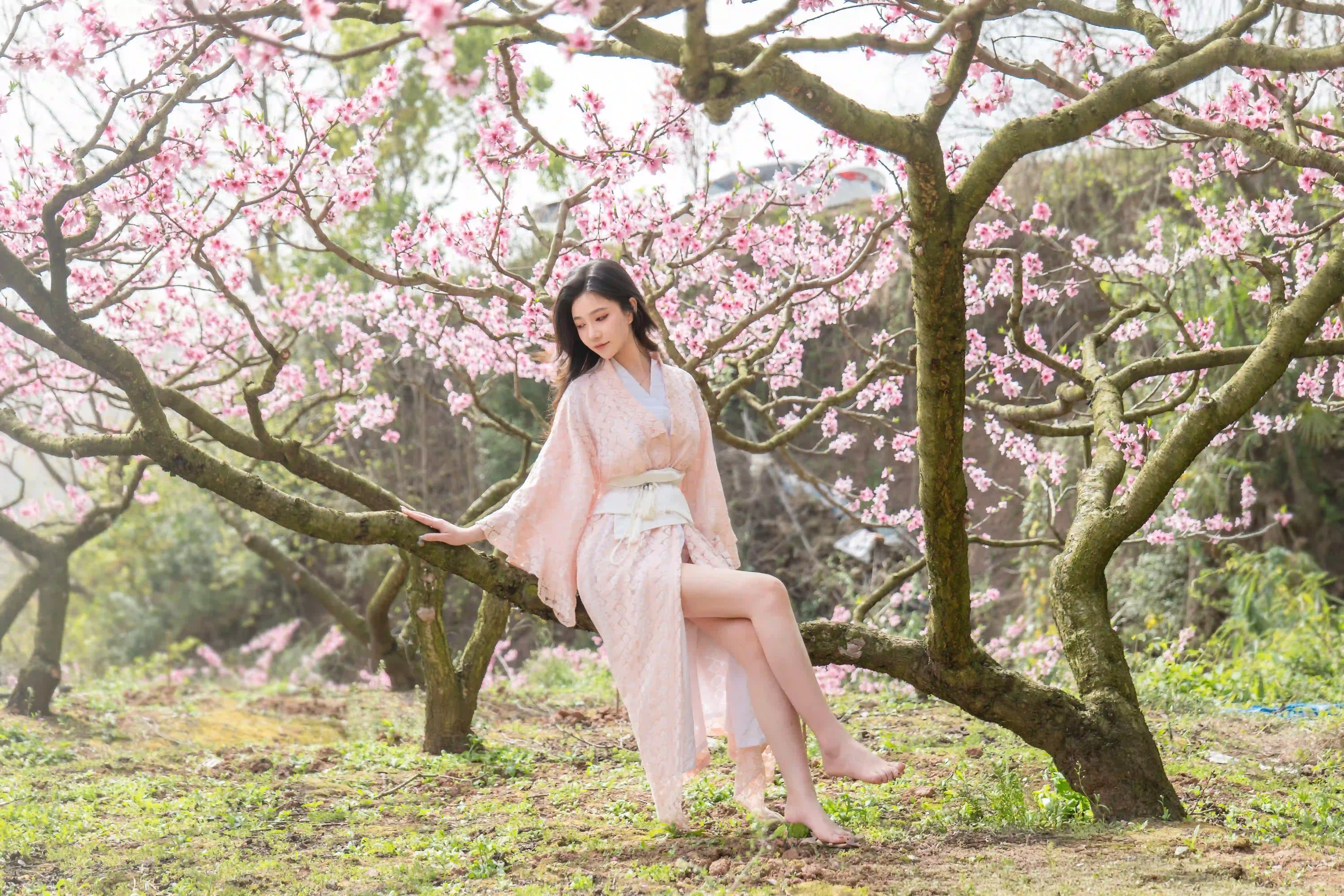 长发性感美女 粉红色和服美女 桃花 桃花林 美腿