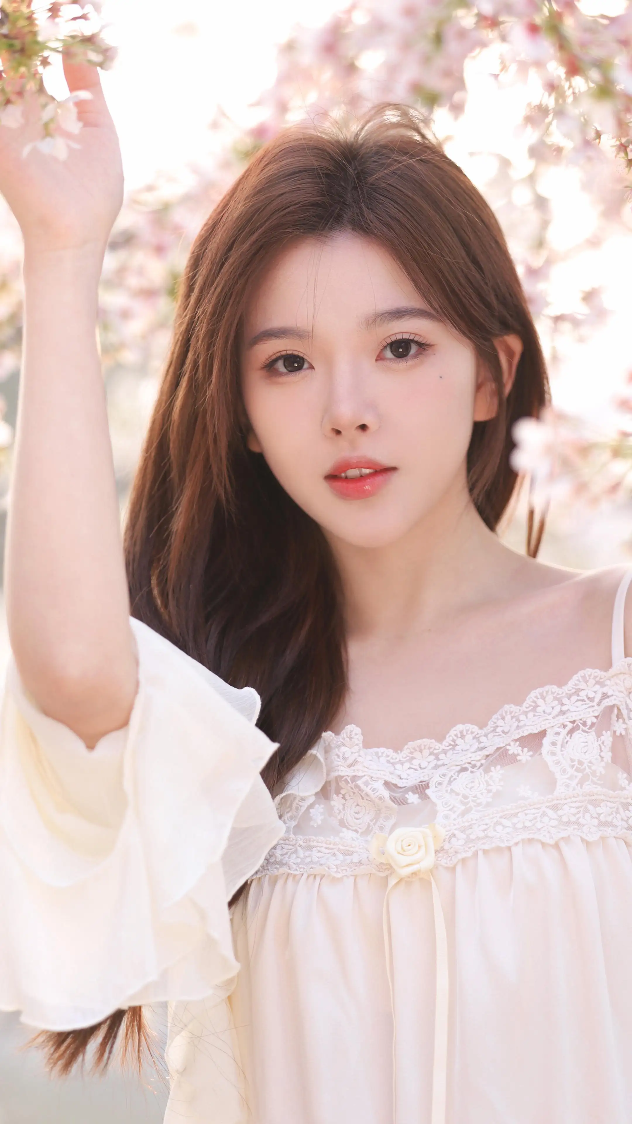 彭十六 白色裙子 美女樱花 4k手机壁纸
