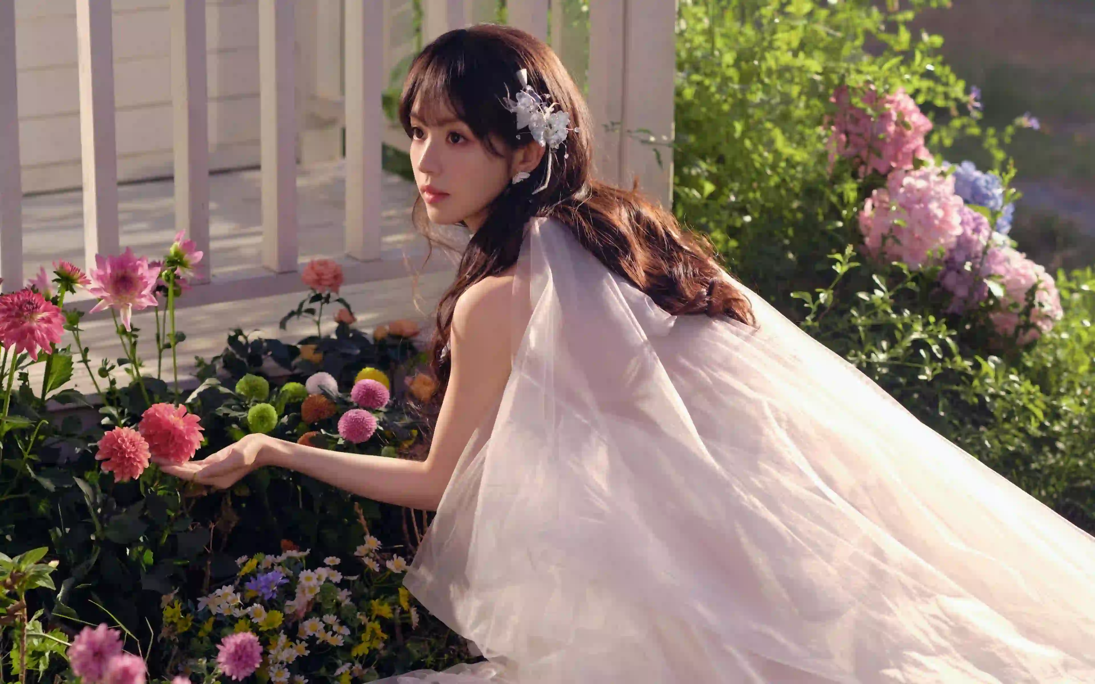 美女鲜花田曦薇 美女明星 白色裙子 花