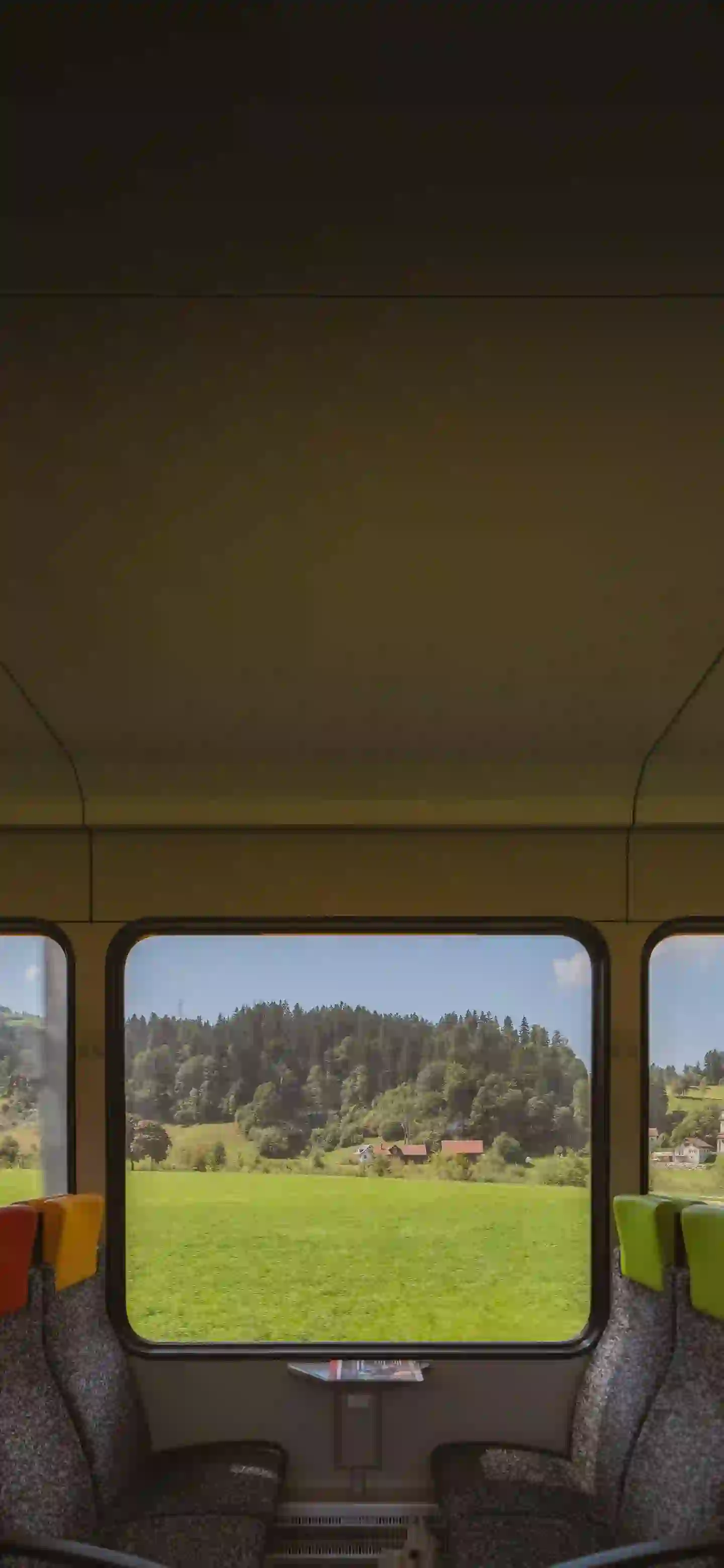 窗外风景 绿色养眼