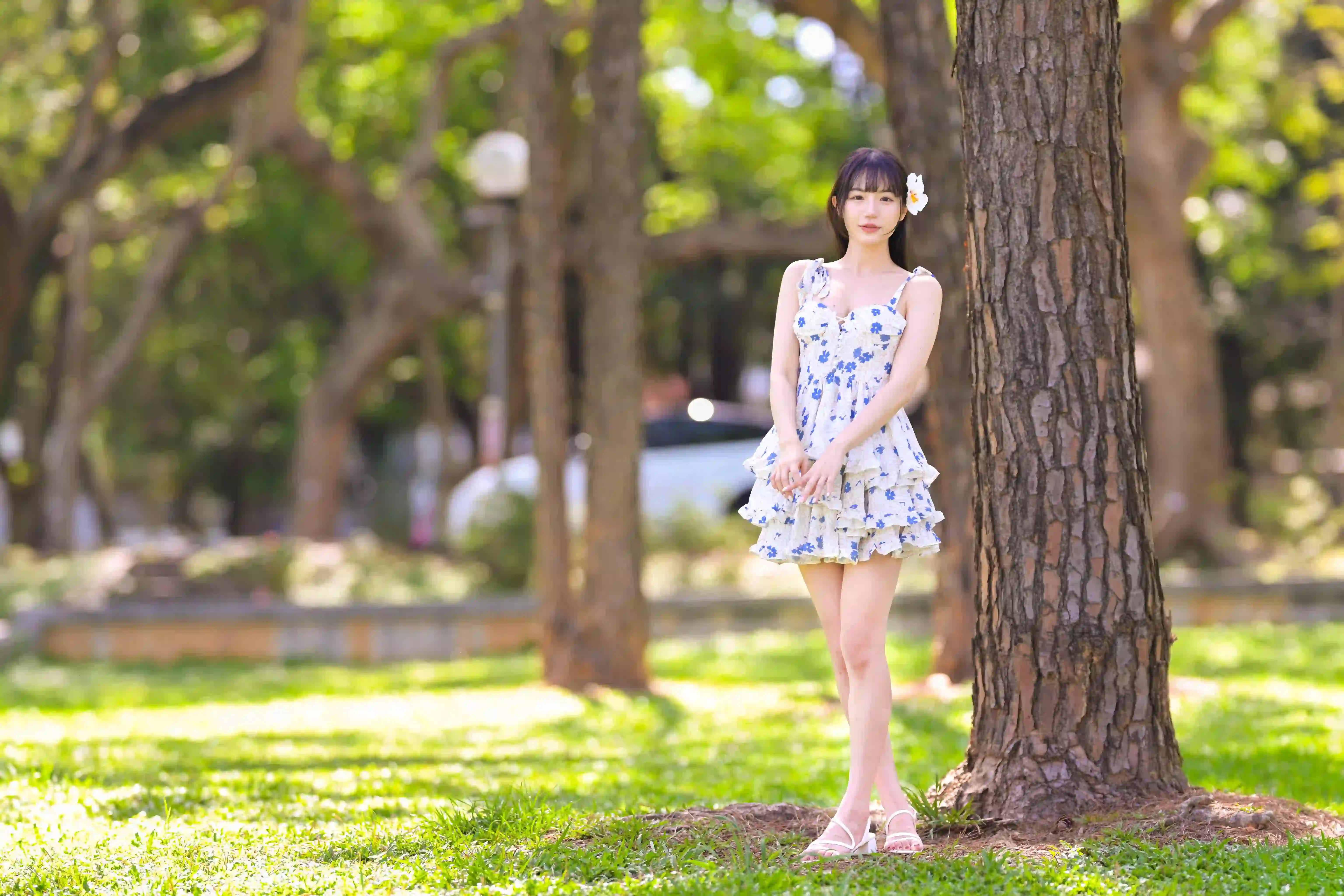 美女 自然 阳光明媚 碎花裙 大树