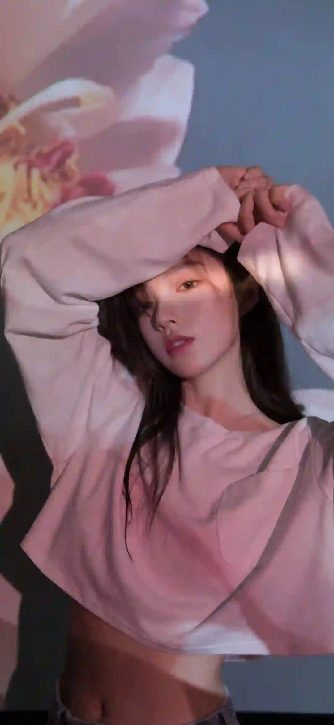粉色卫衣 少女写真 人像摄影 花卉投影 光影效果