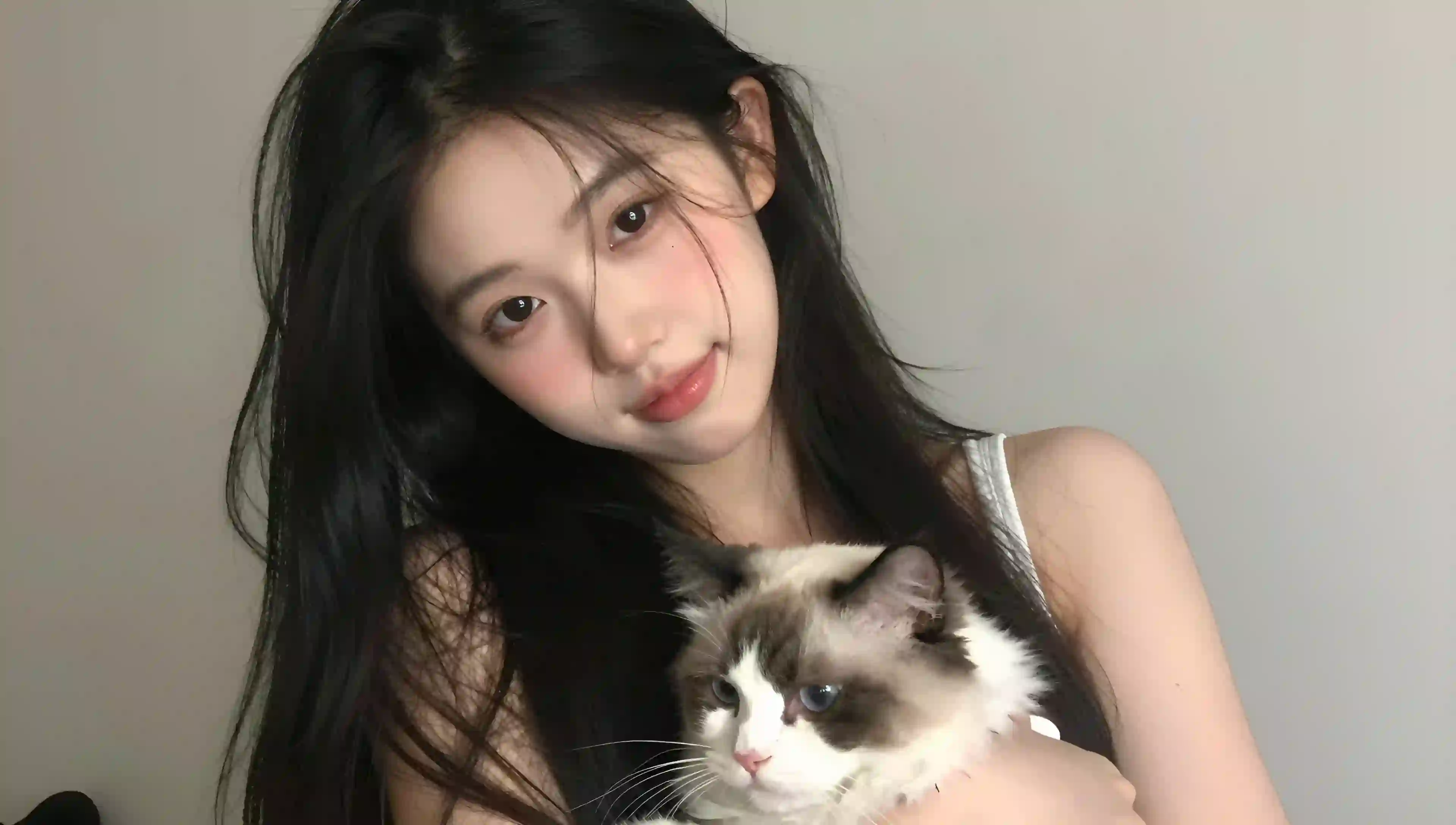 女孩 抱猫 布偶猫 室内 温馨 长发 清纯