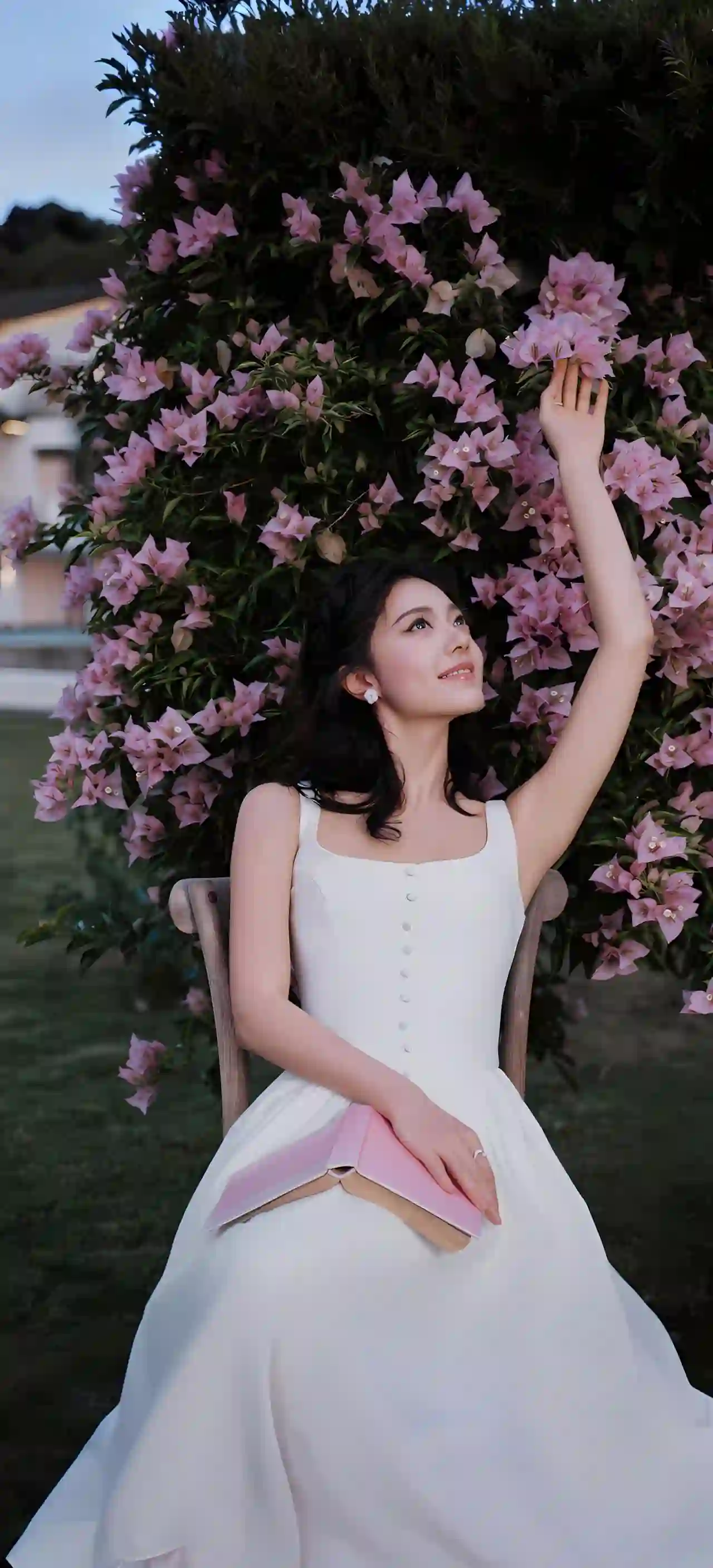 白色长裙 美女 花丛 优雅 人像摄影 唯美 赵今麦