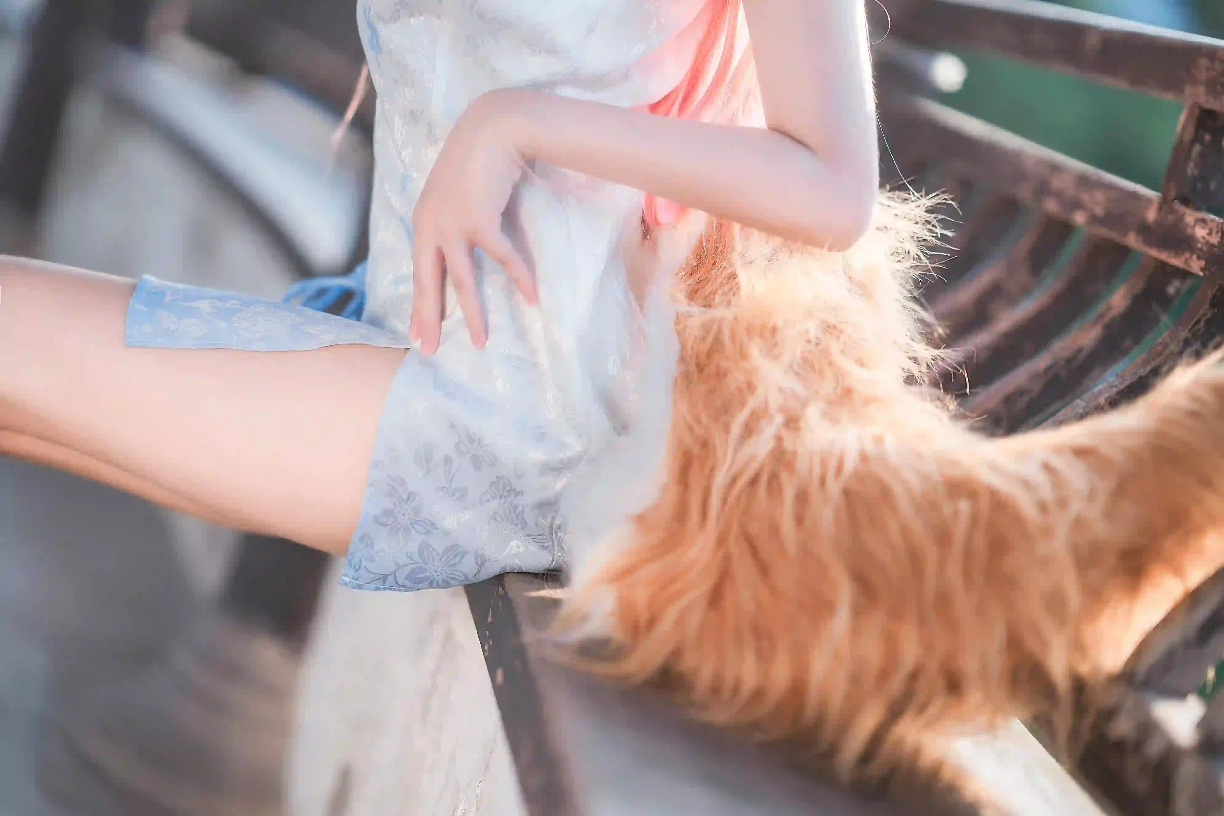 cosplay 长发女孩 狐狸耳朵 尾巴 旗袍 毛茸茸的尾巴