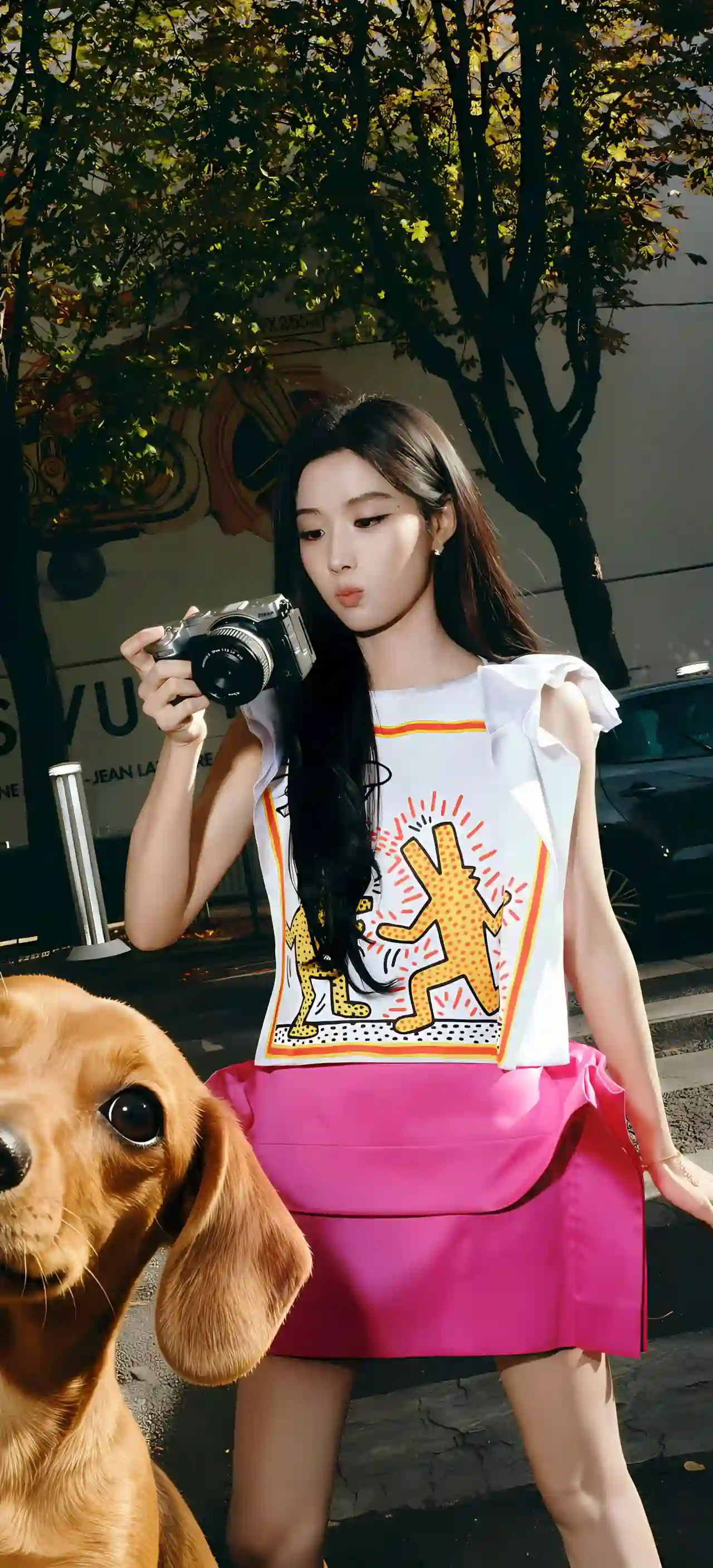 少女 街拍 相机 金毛犬 粉色短裙 阳光 卢昱晓