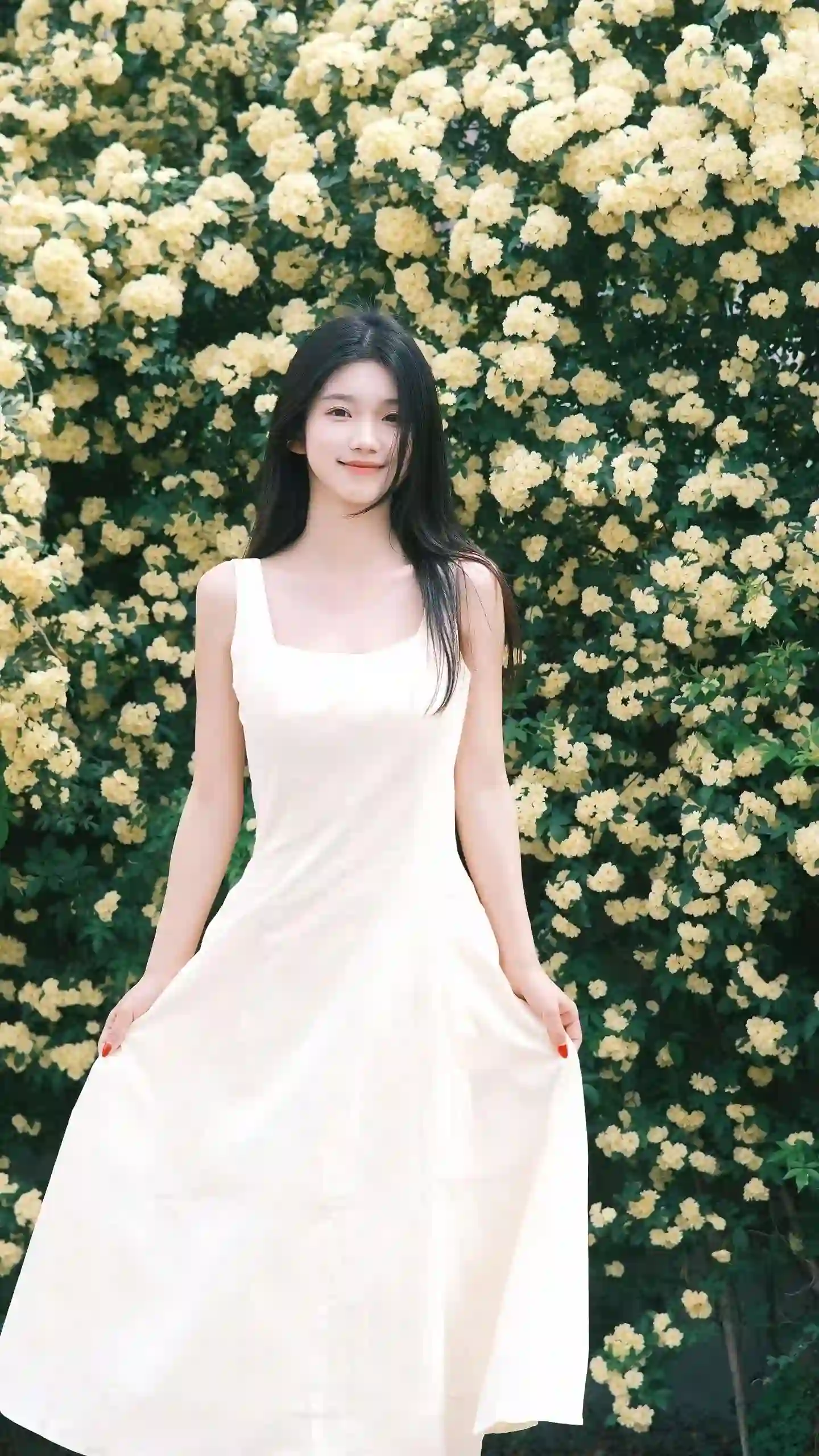 白色长裙 少女 花墙 人像 清新 自然光 花卉