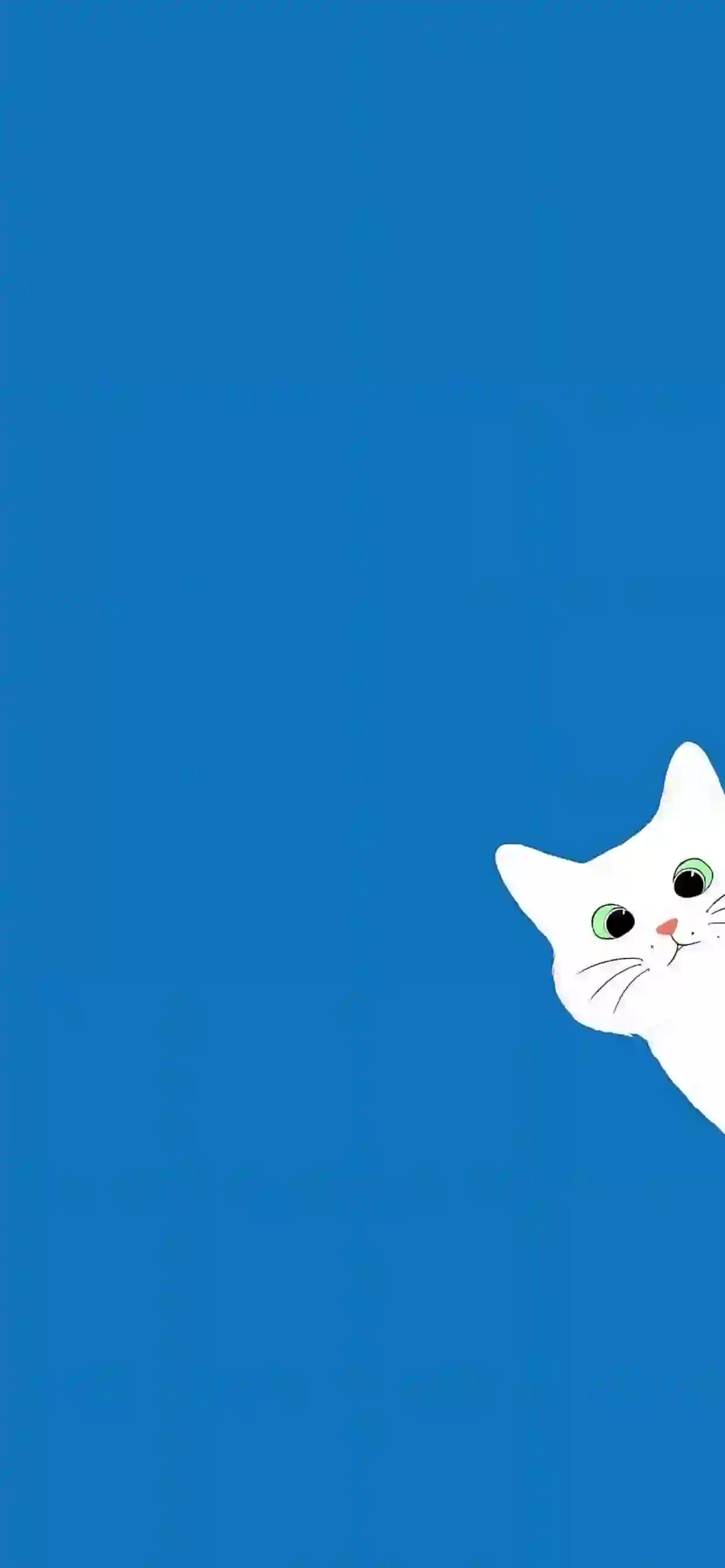 纯蓝壁纸 淘气猫咪