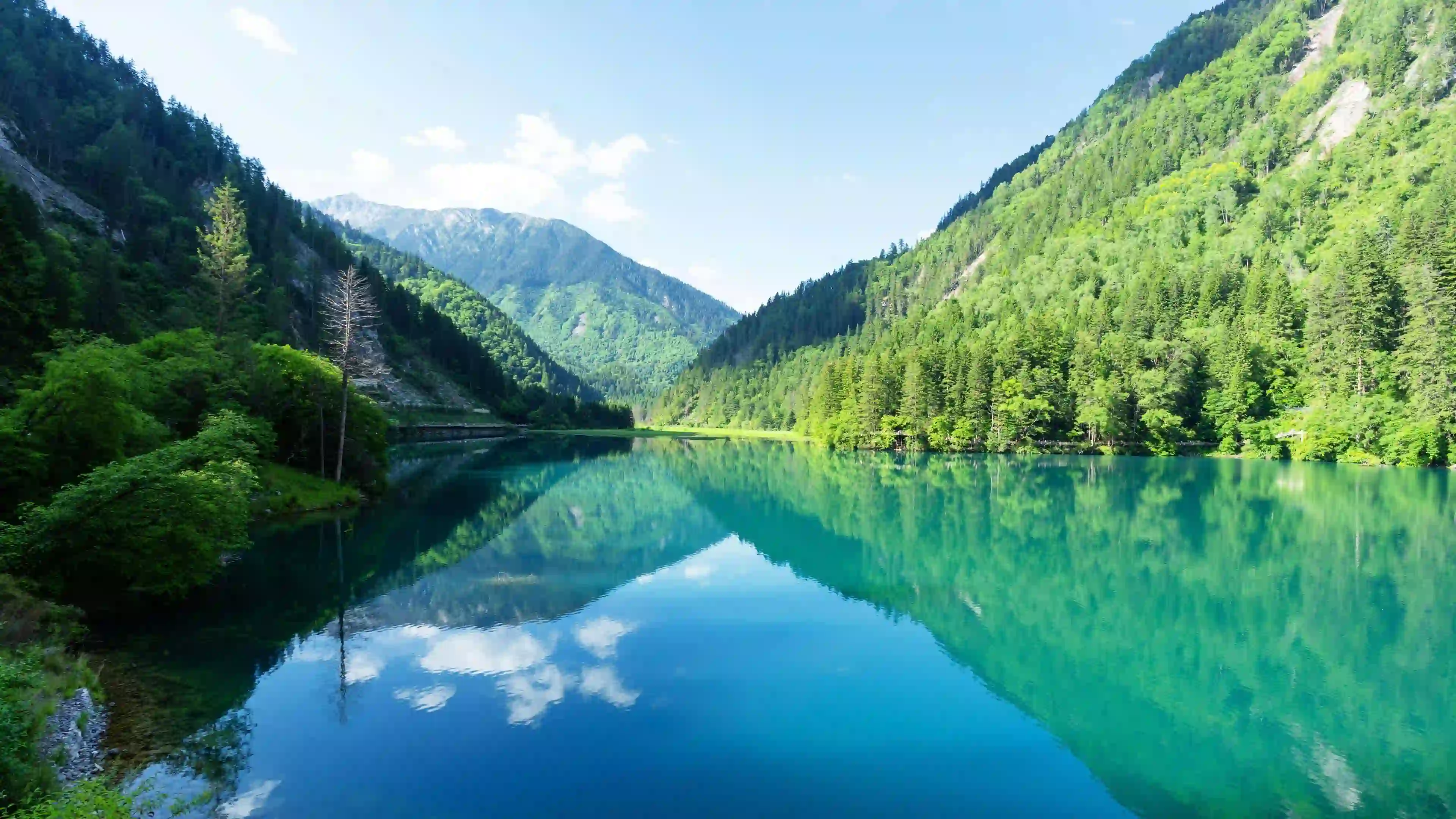 高清山水风景 树林河流 青山绿水