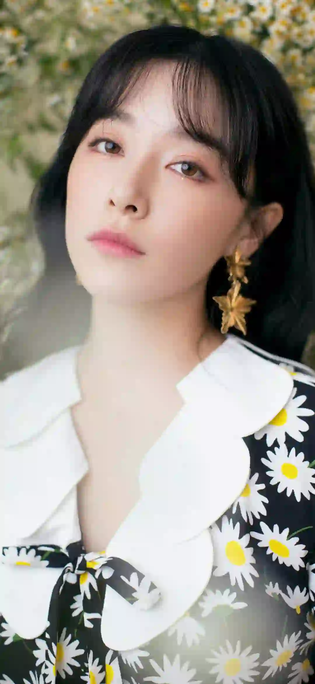 明星美女 阚清子 菊花长裙