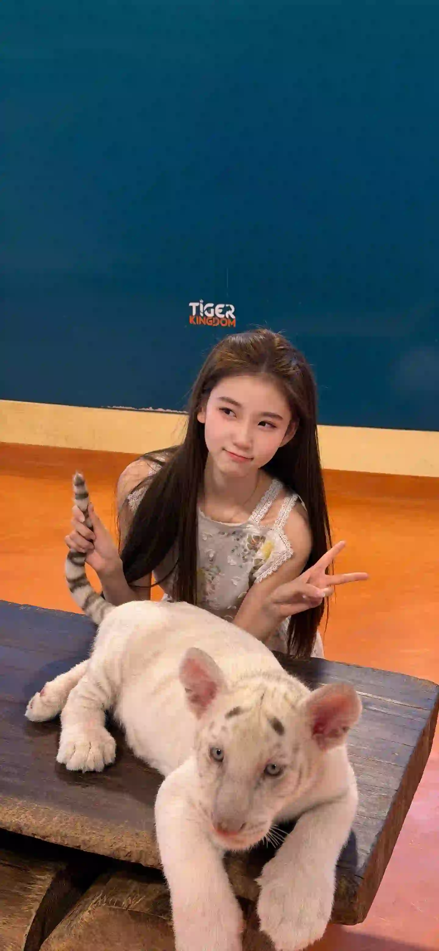 可爱女孩 动物 俏皮可爱女孩