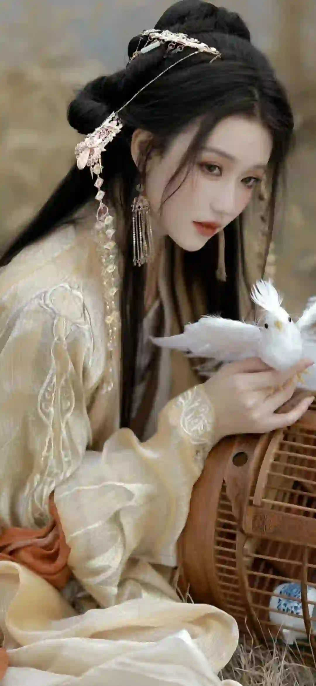 汉服古风 古风美女 信鸽 