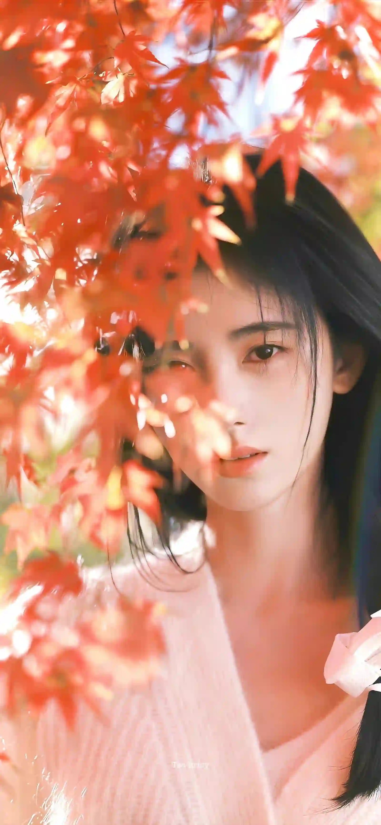 一位长发少女在红色枫叶间微笑，阳光透过树叶洒落，营造出清新梦幻的秋天氛围。