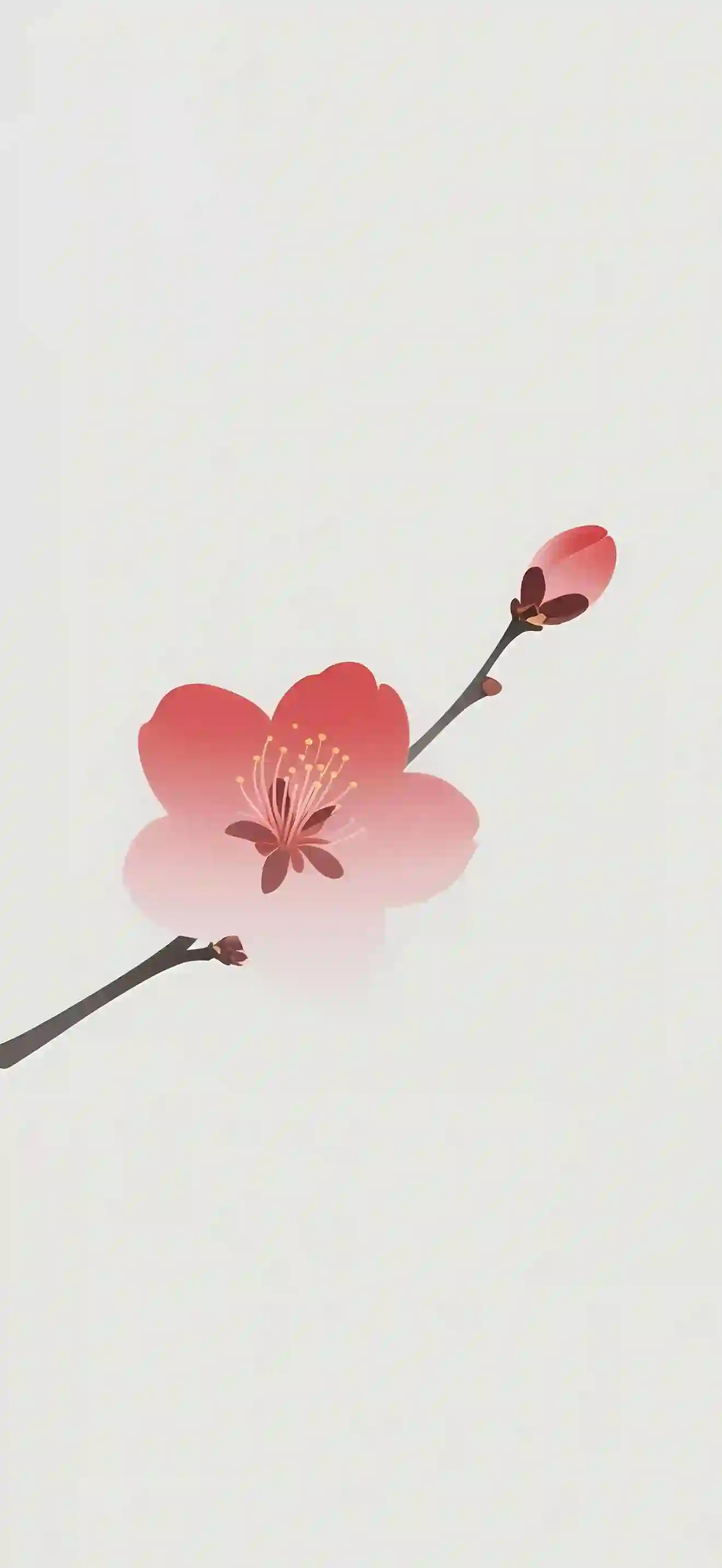 梅花 极简 插画 壁纸 花卉 简约