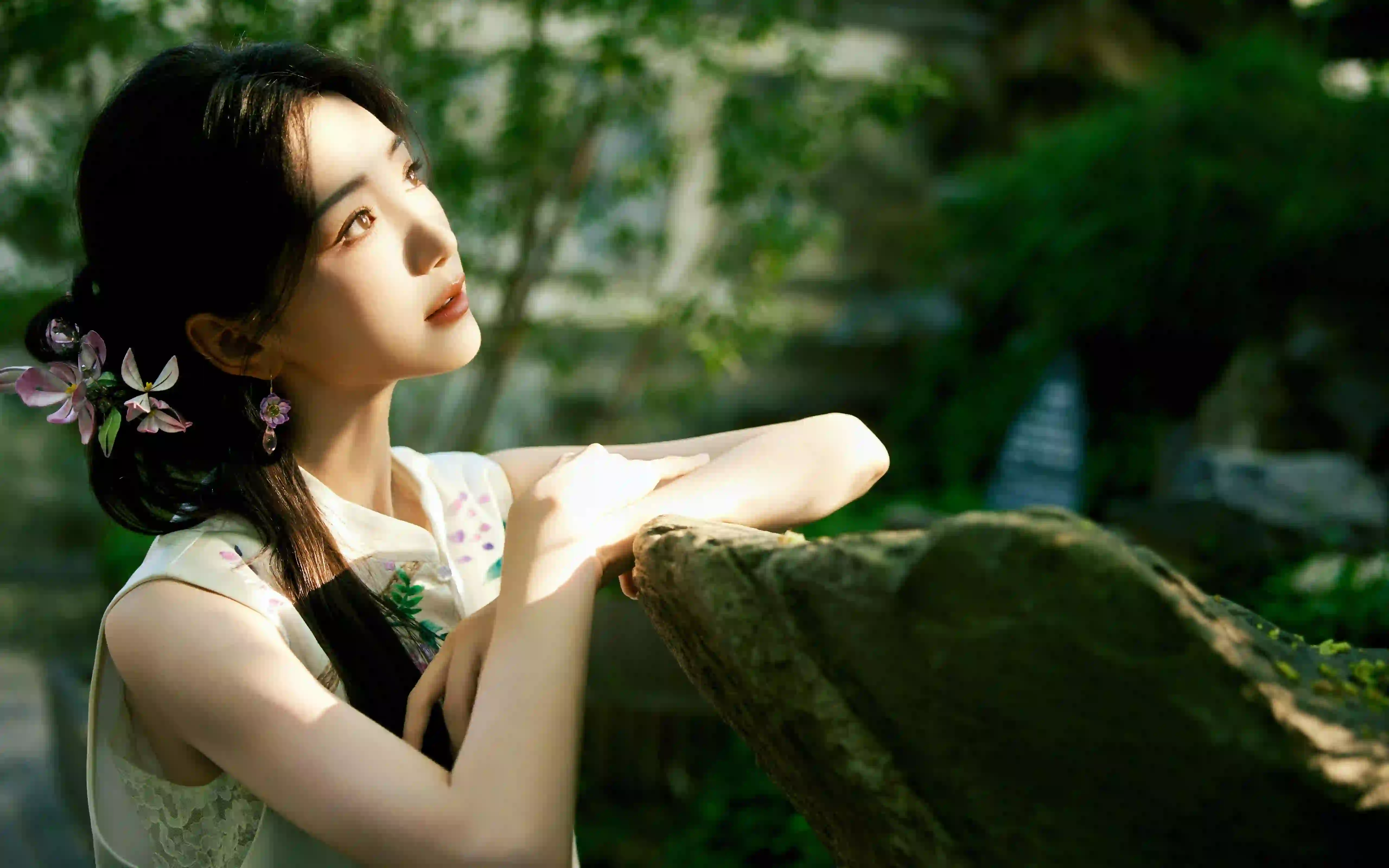 旗袍美女 阳光 明星 演员明星 毛晓彤