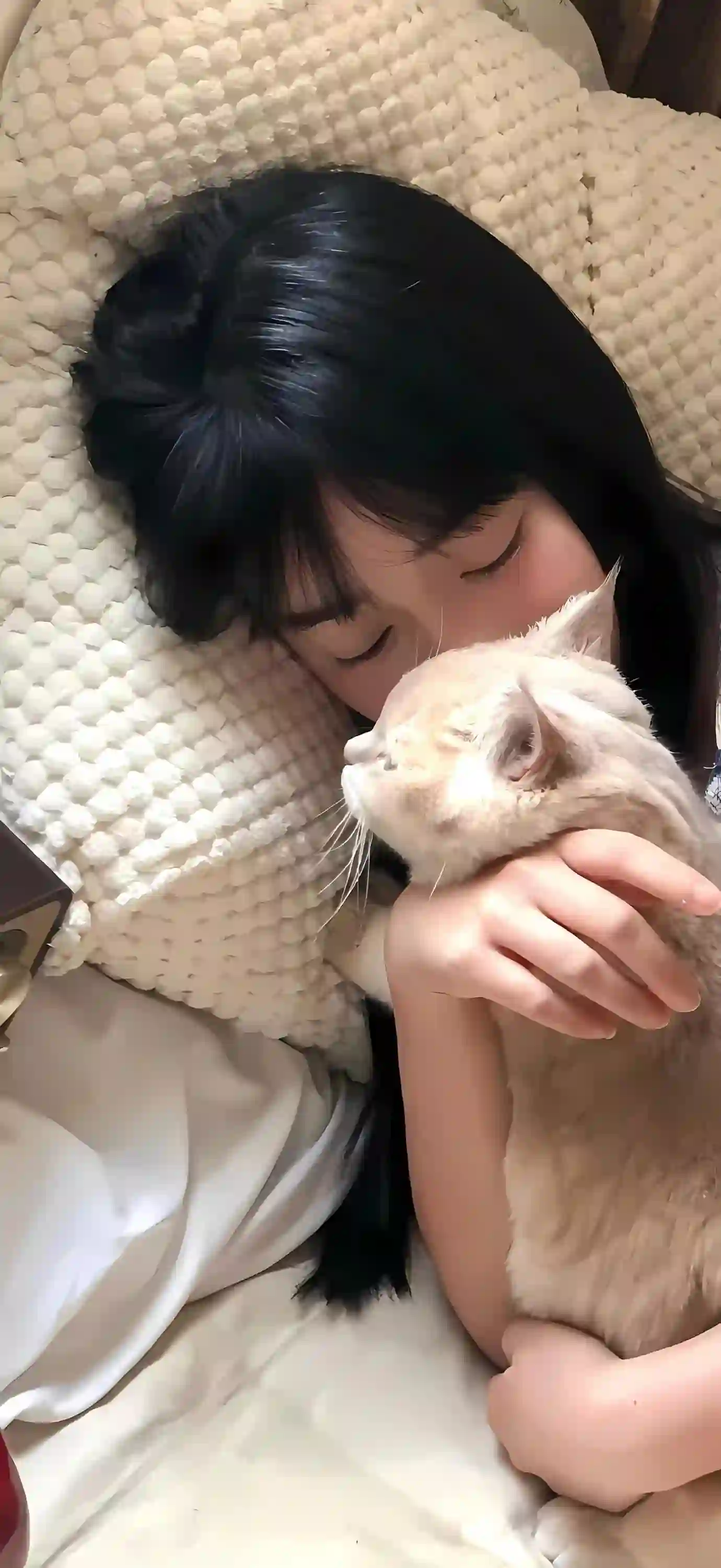女孩 猫咪 温馨 室内 拥抱