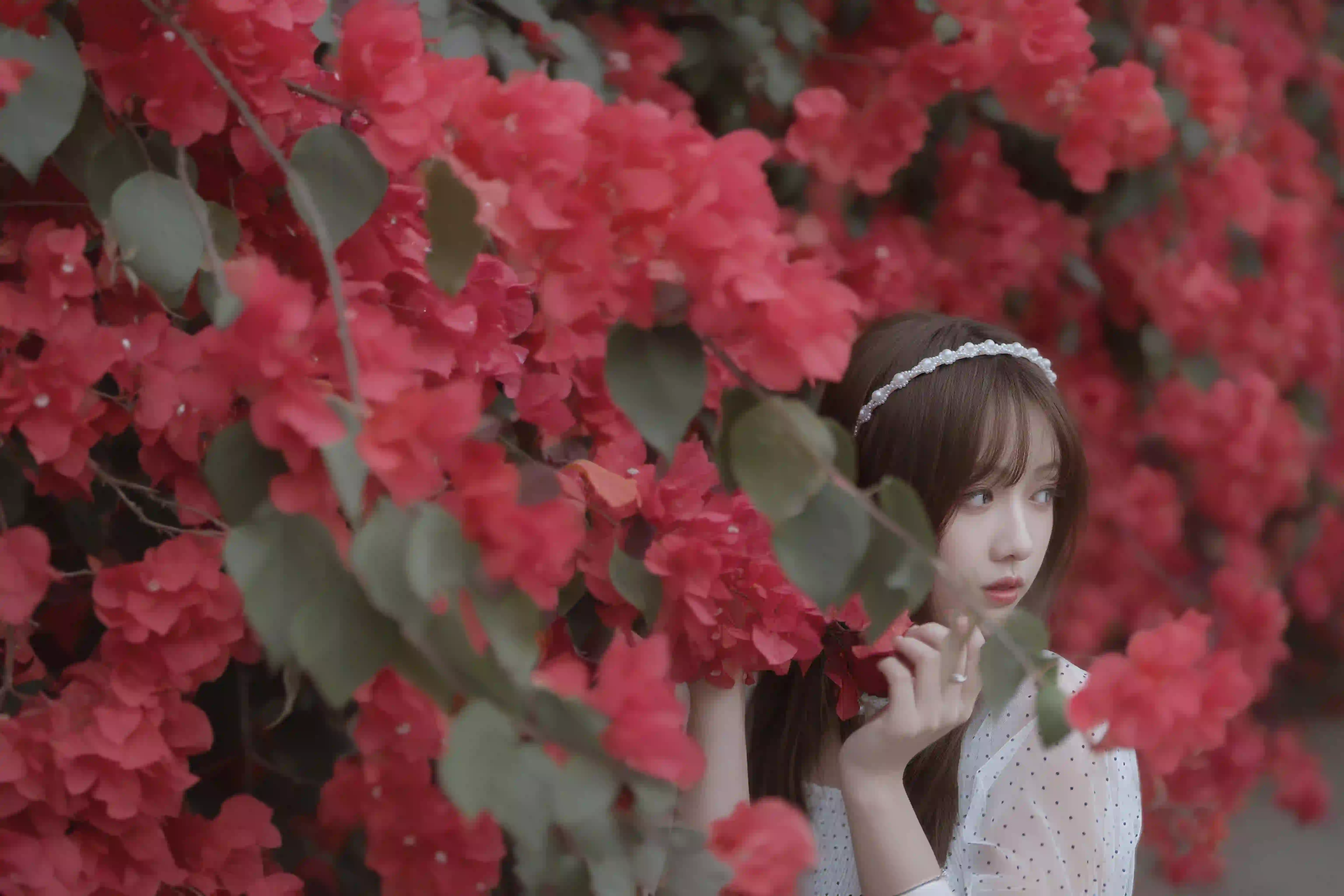 长发美女 白色长裙 户外 鲜花 红色花朵